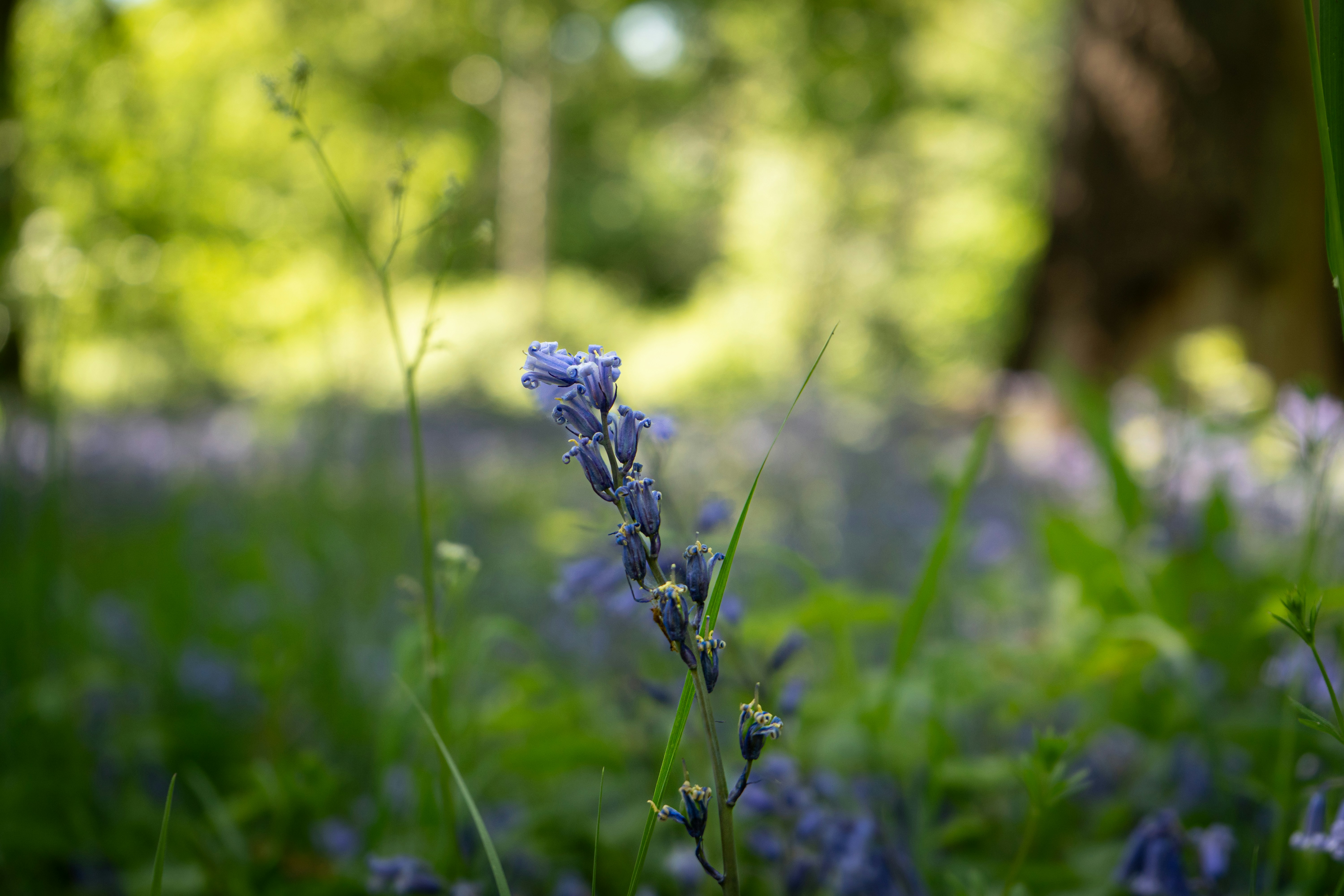 Photo by samuel_hagger