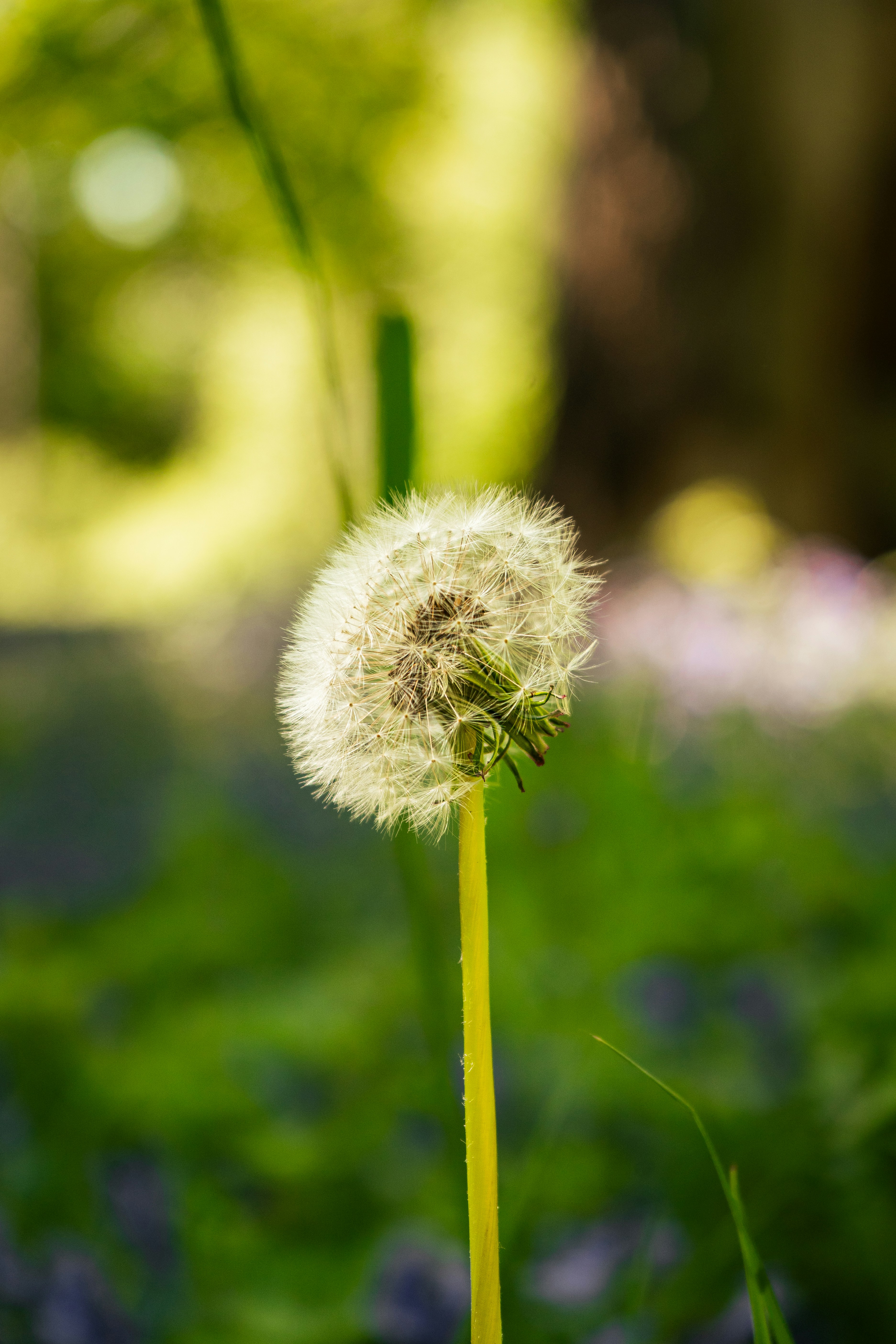 Photo by samuel_hagger