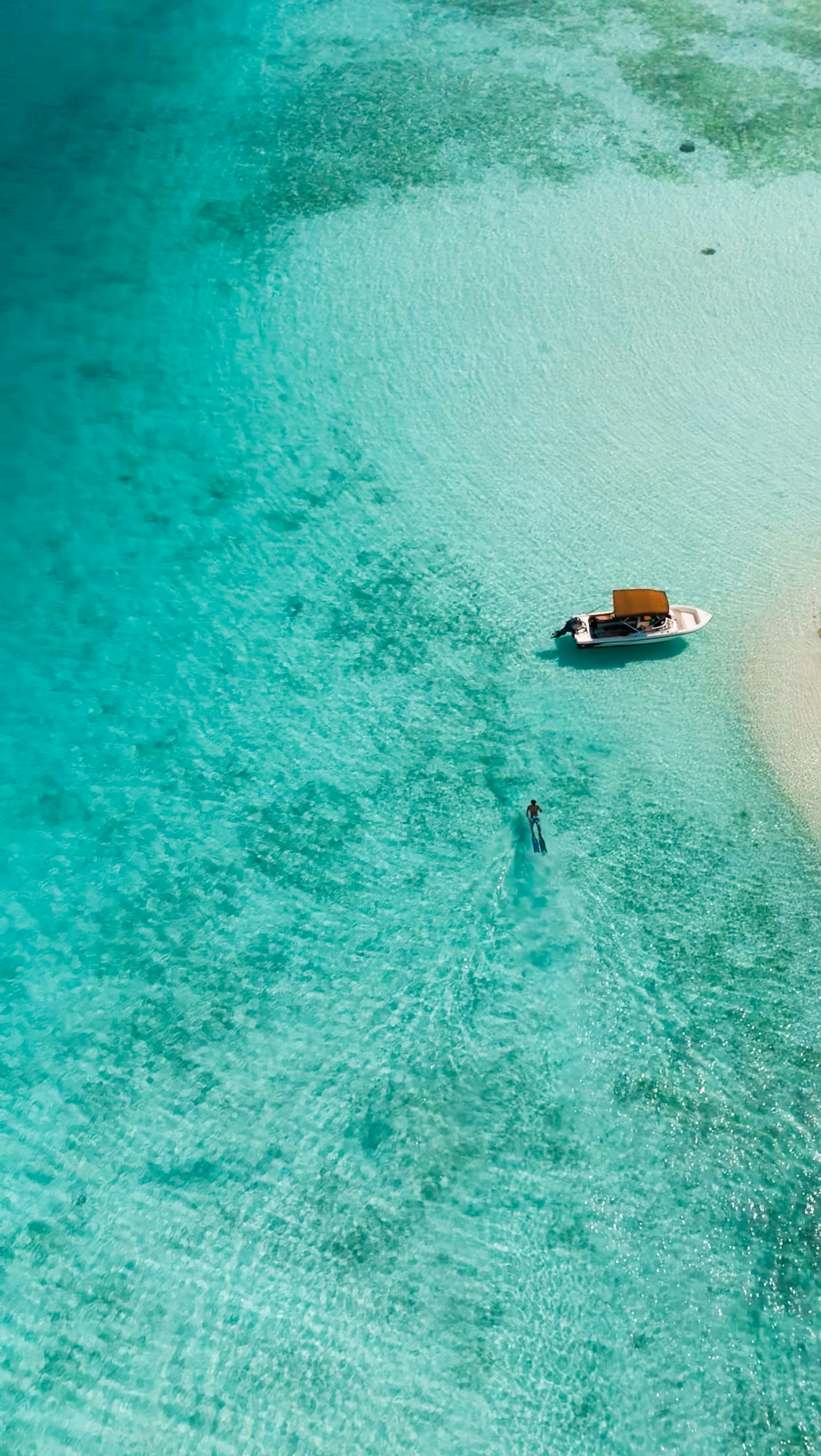 Photo by monkeydmykie