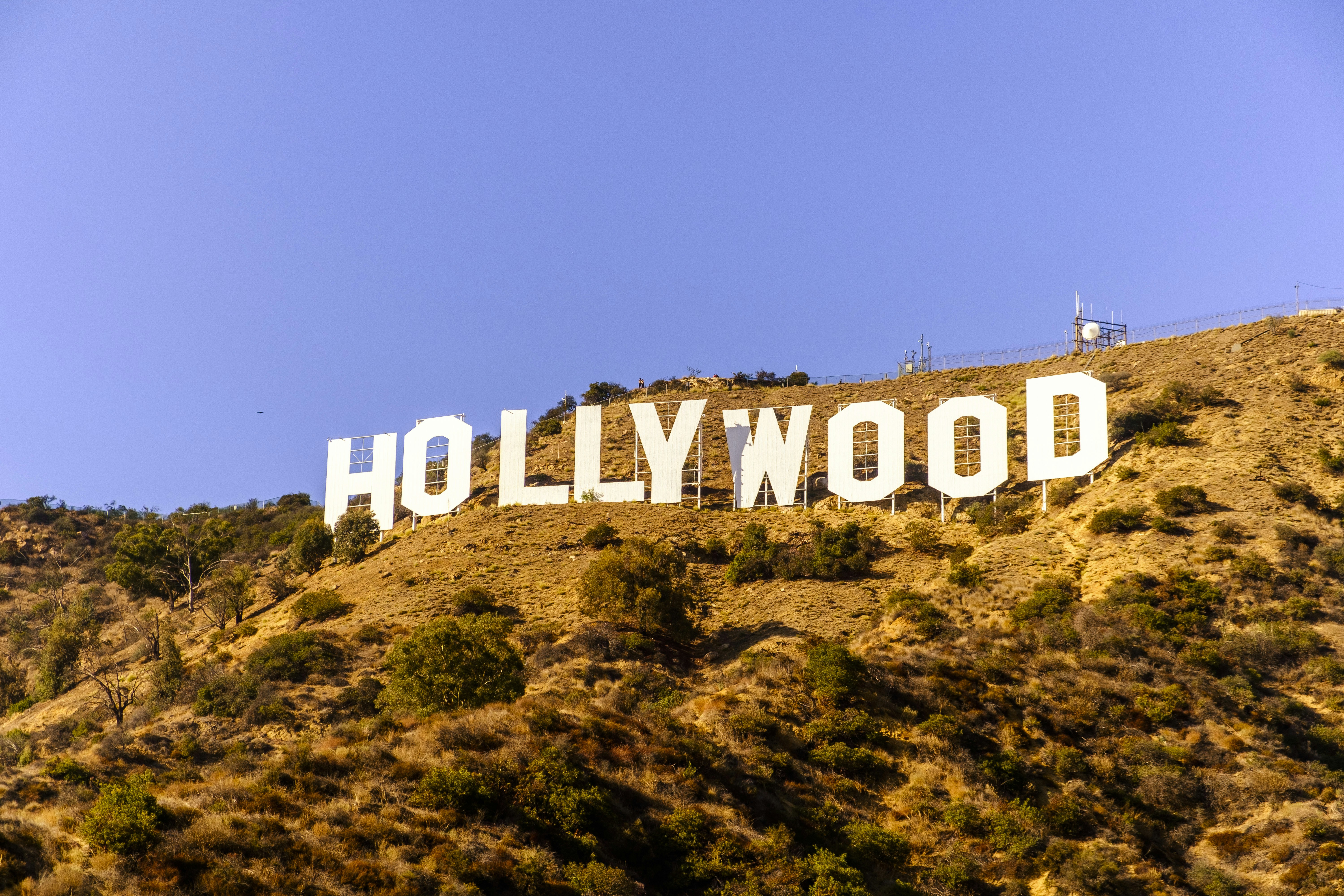 Image by Drei Kubik via Unsplash