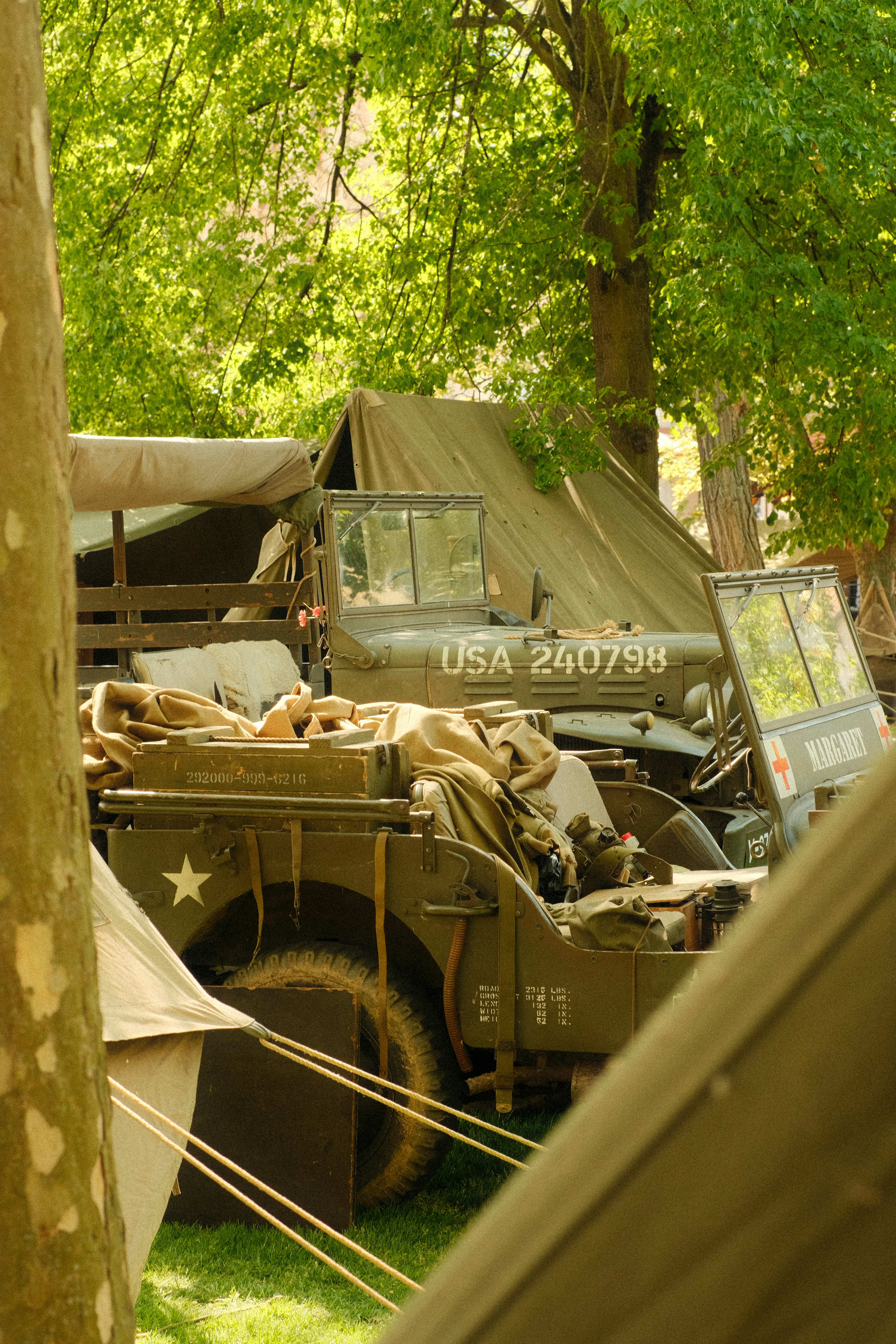 Vintage military vehicles are parked in a forested area.