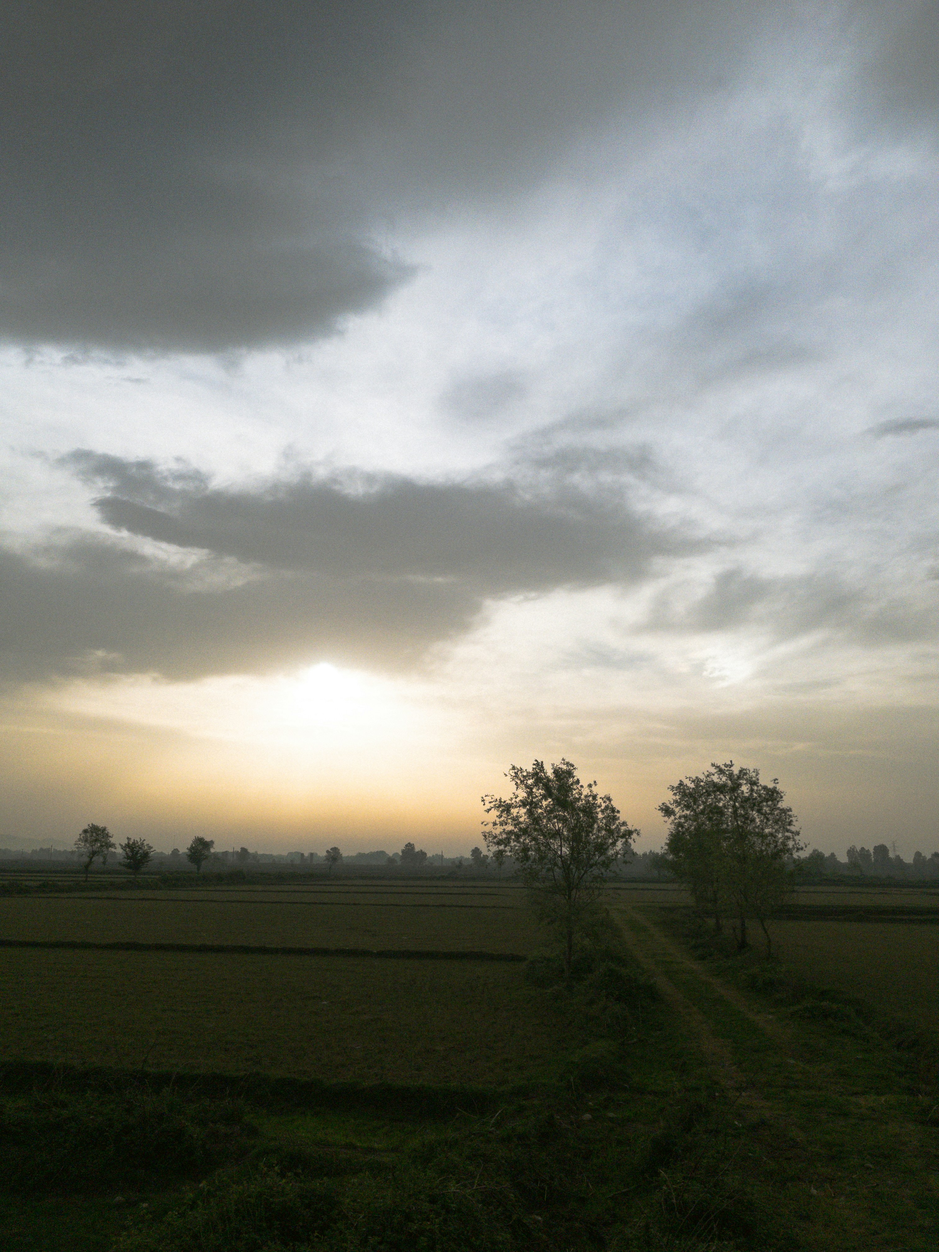 Cloudy sky over a grassy field at sunset.