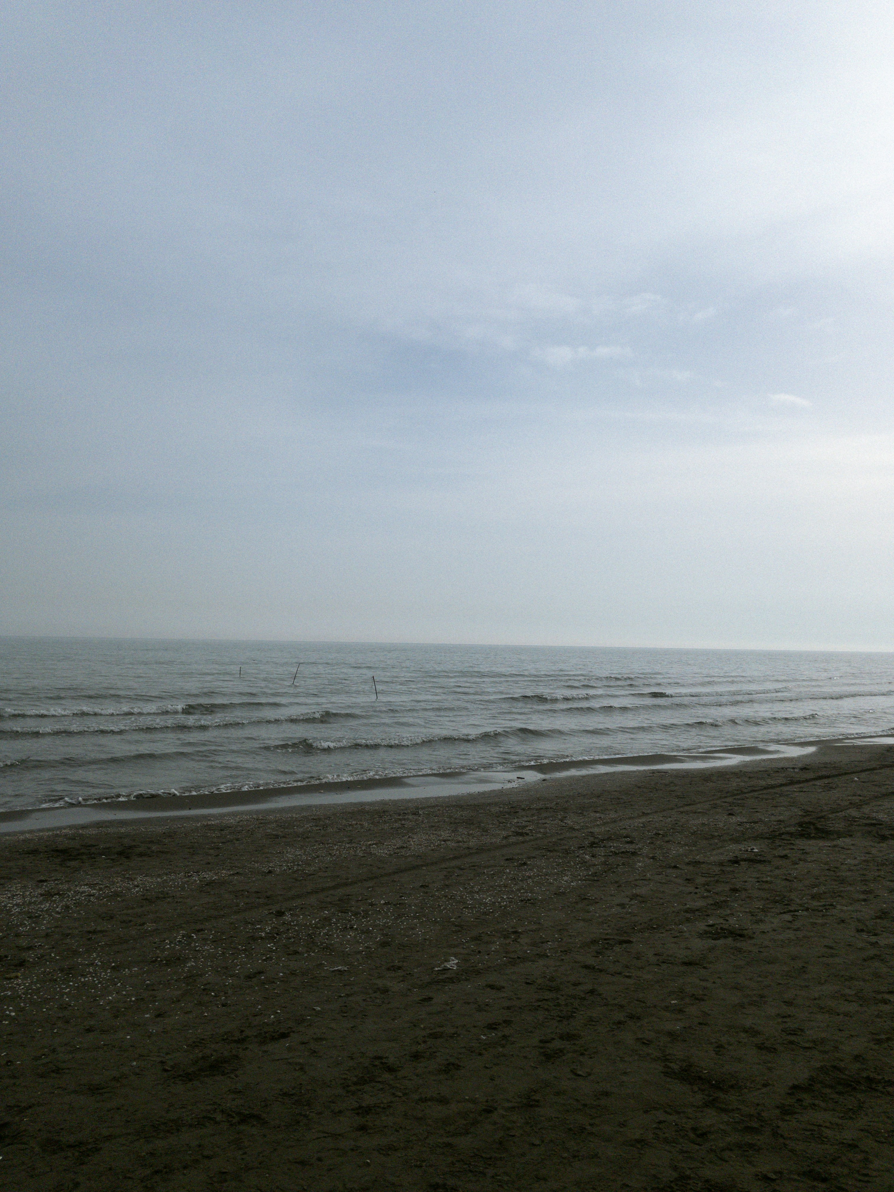 A misty beach stretches towards the horizon.