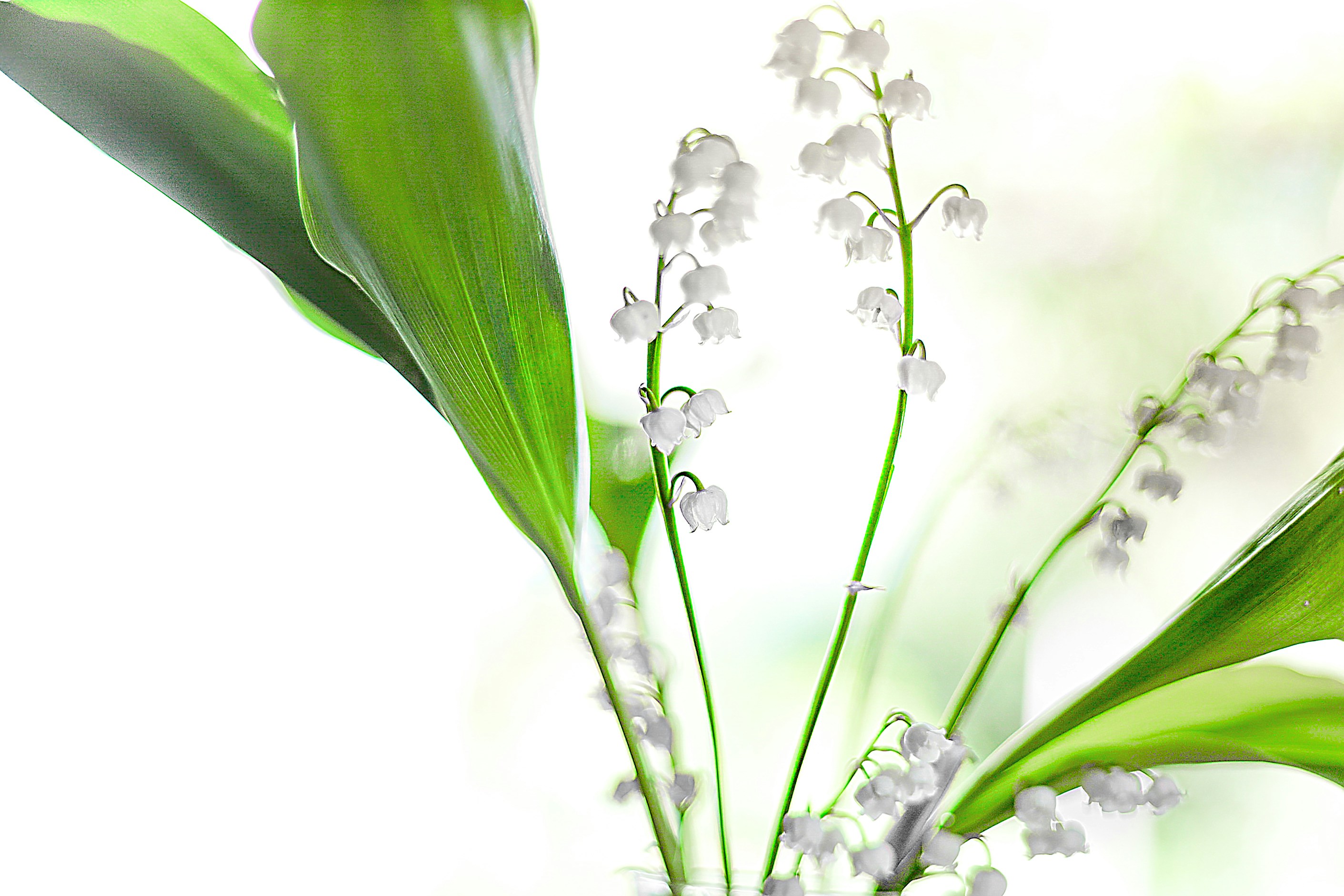 Photo by arizonanthony