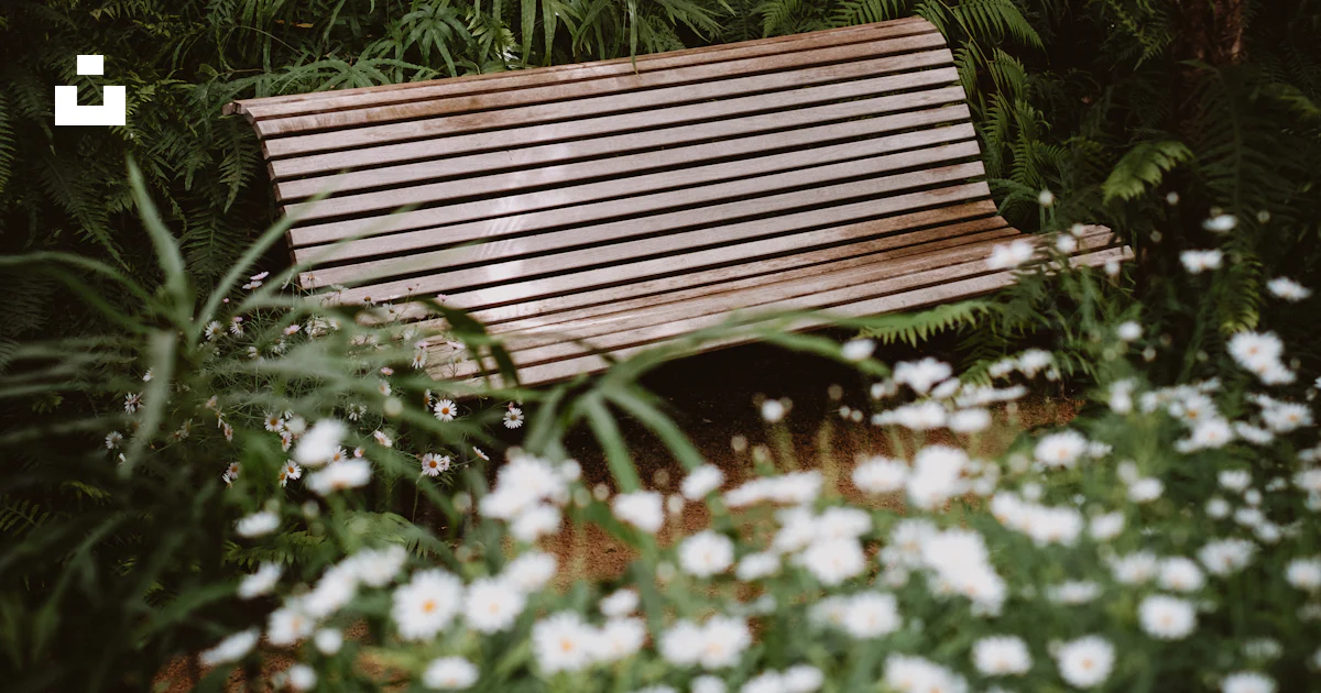 A wooden bench sits amidst lush greenery. photo – Free Image on Unsplash