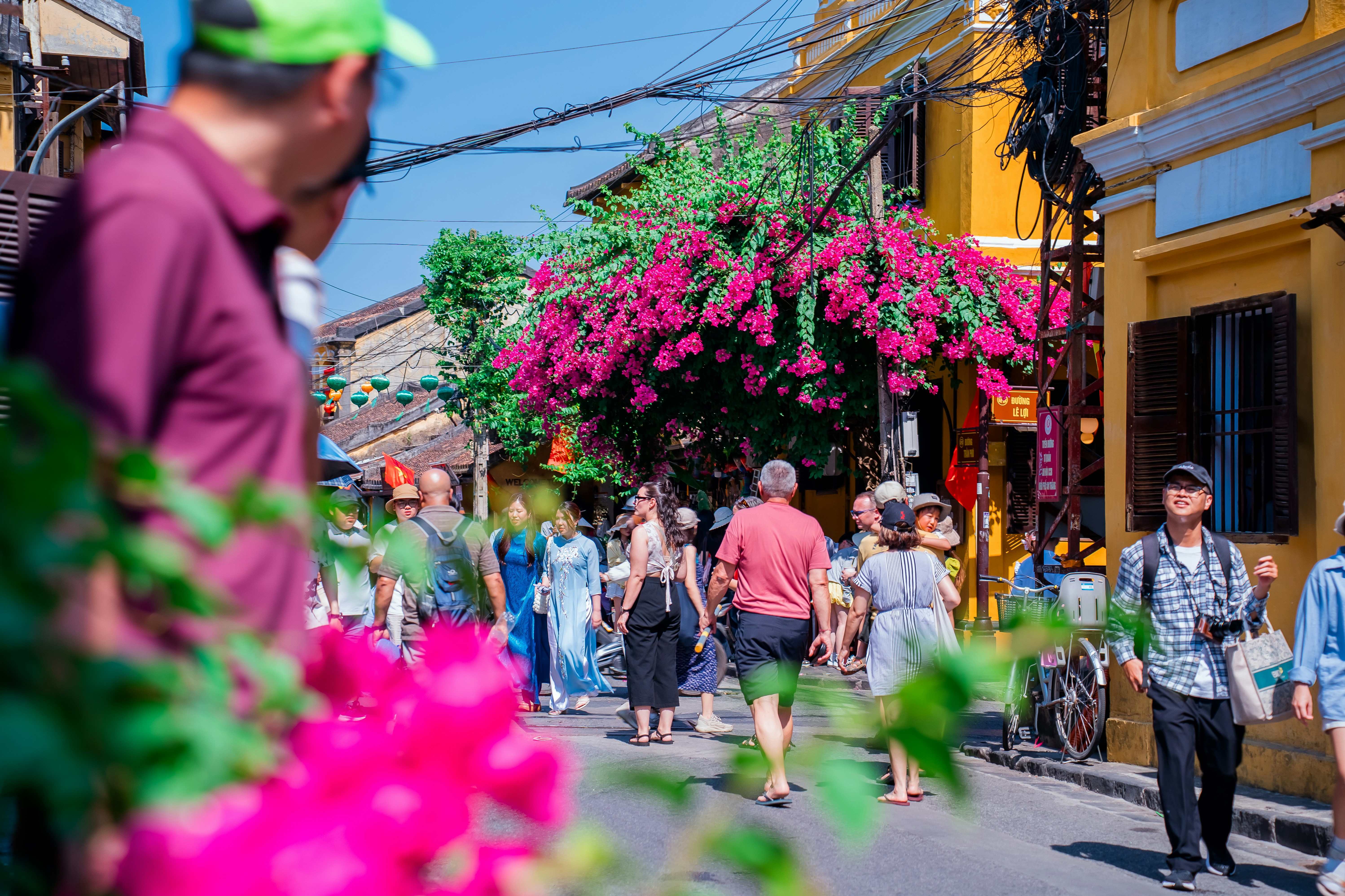 Photo by niko_nguyen_10