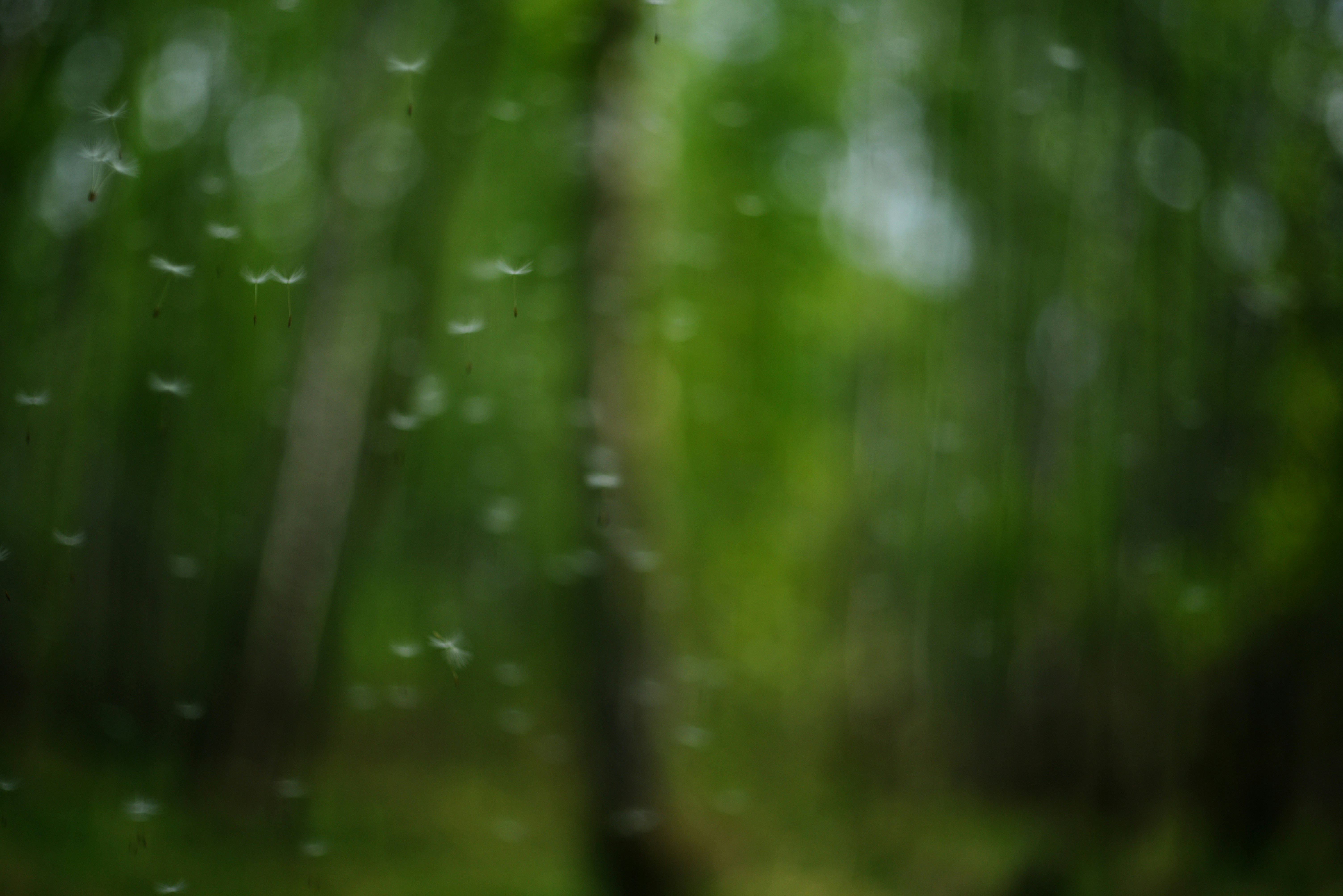 Photo by cherstve_pechivo