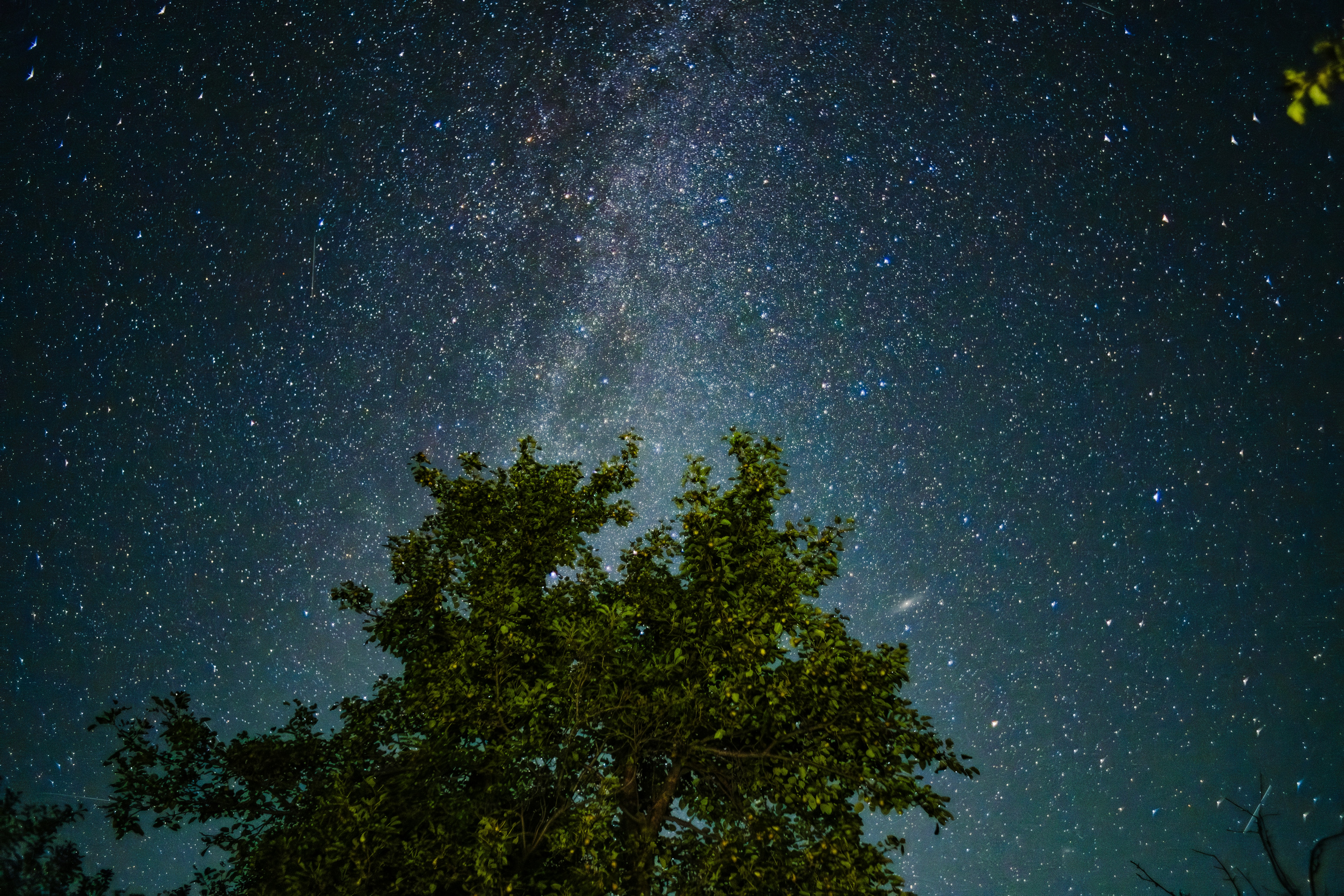 Photo by gev__avetisyan