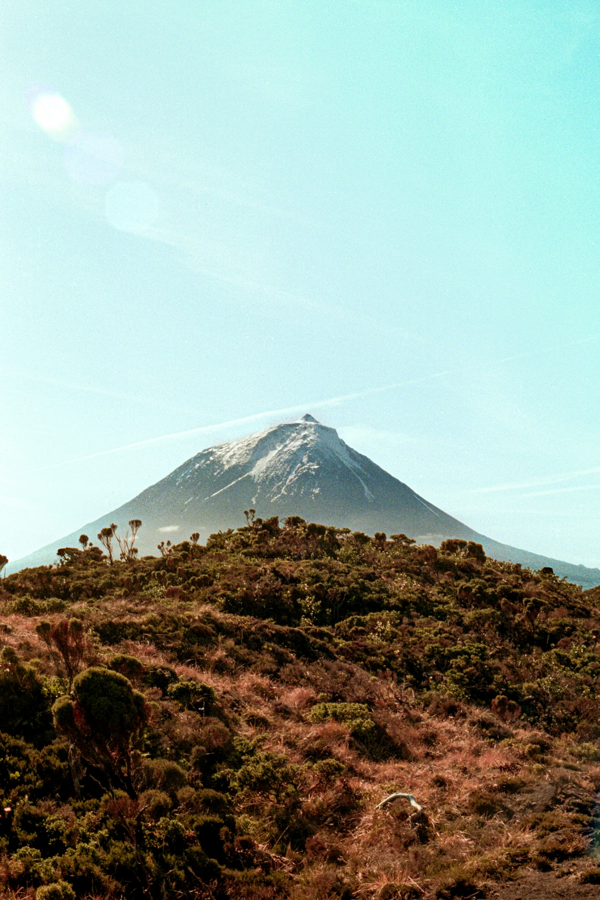 Pico aux Açores : 8 activités à découvrir