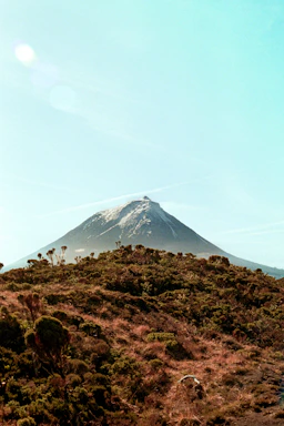A mountain looms over a hillside
