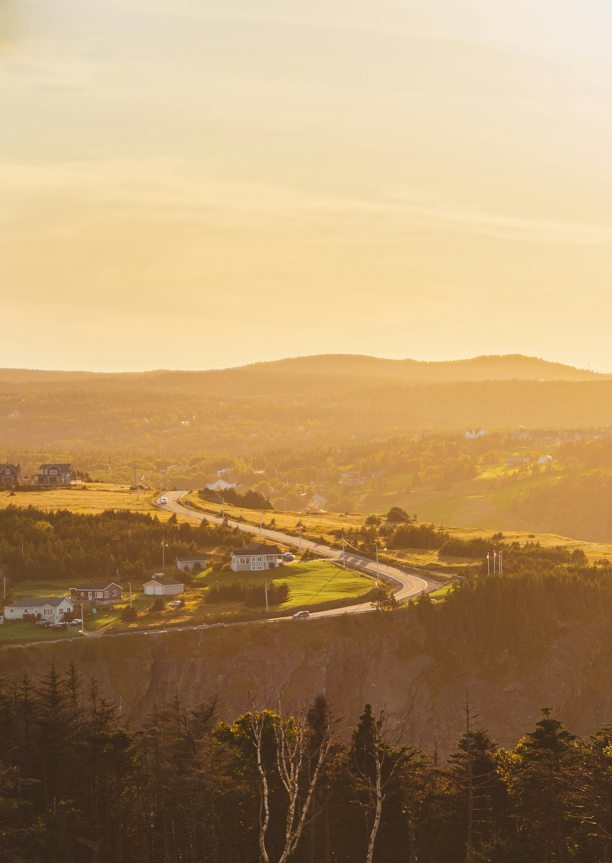 Photo by francis_nie