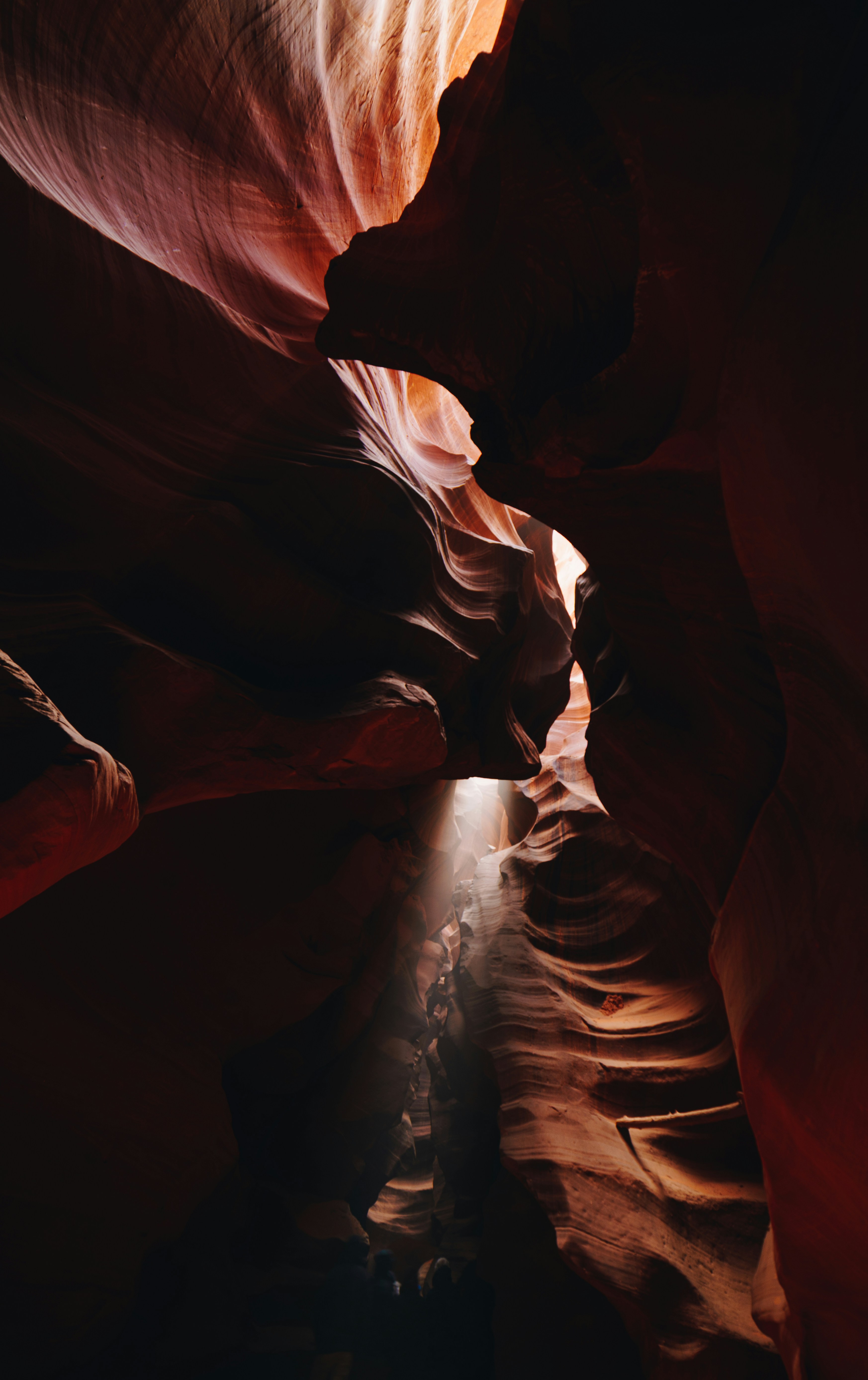 Photo by francis_nie