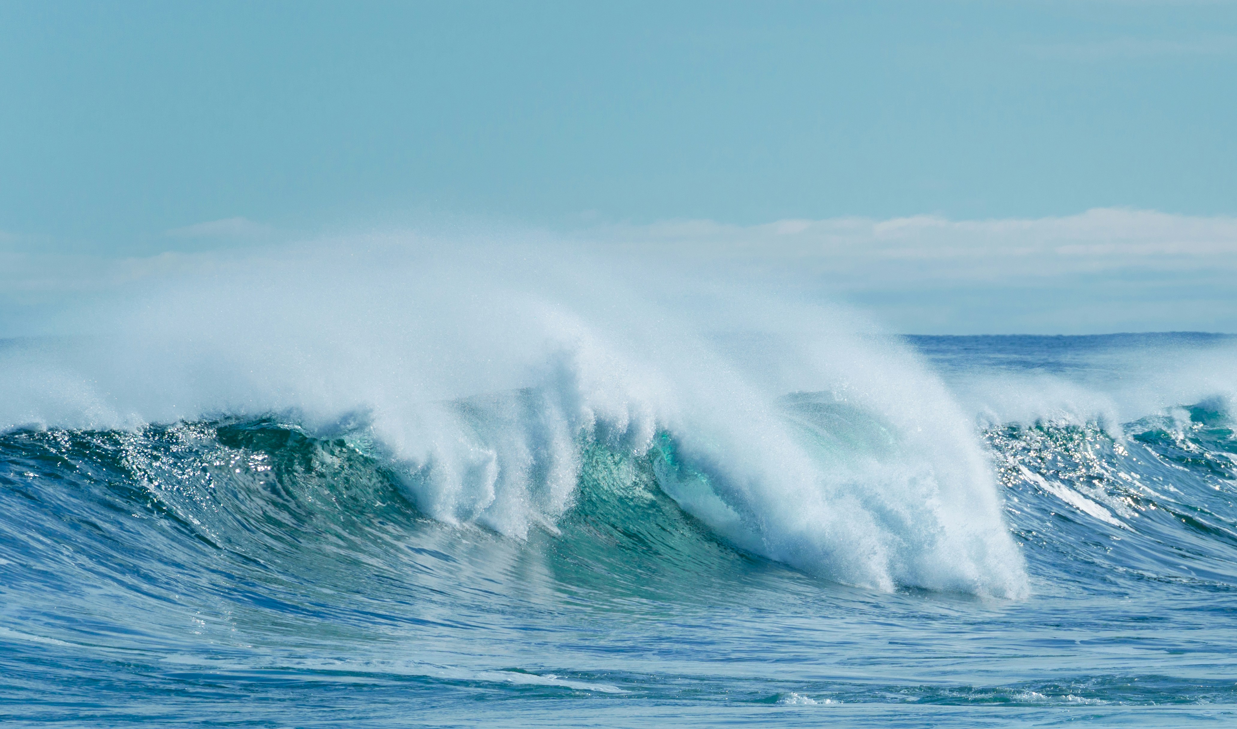 Photo by francis_nie