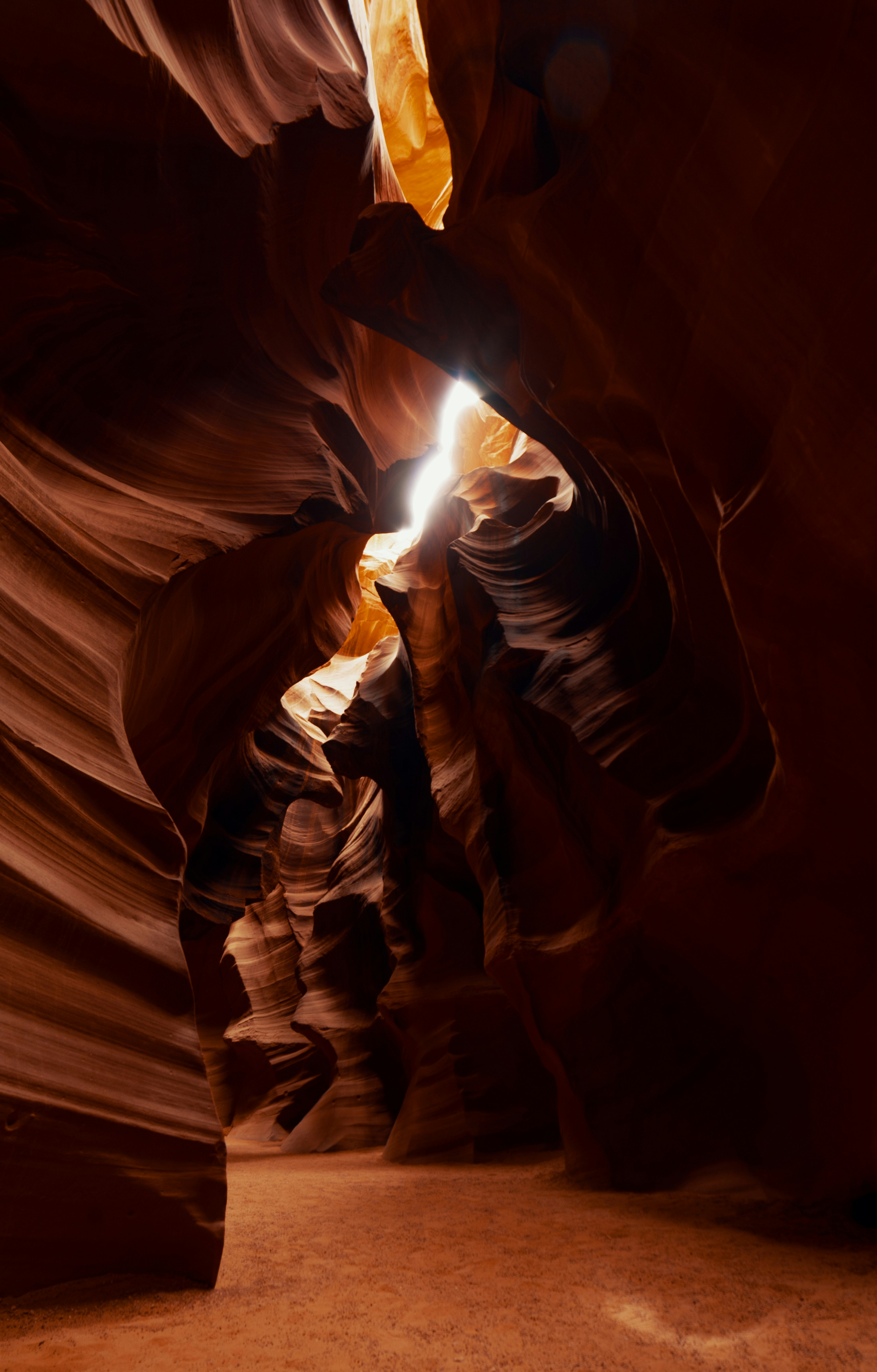 Photo by francis_nie