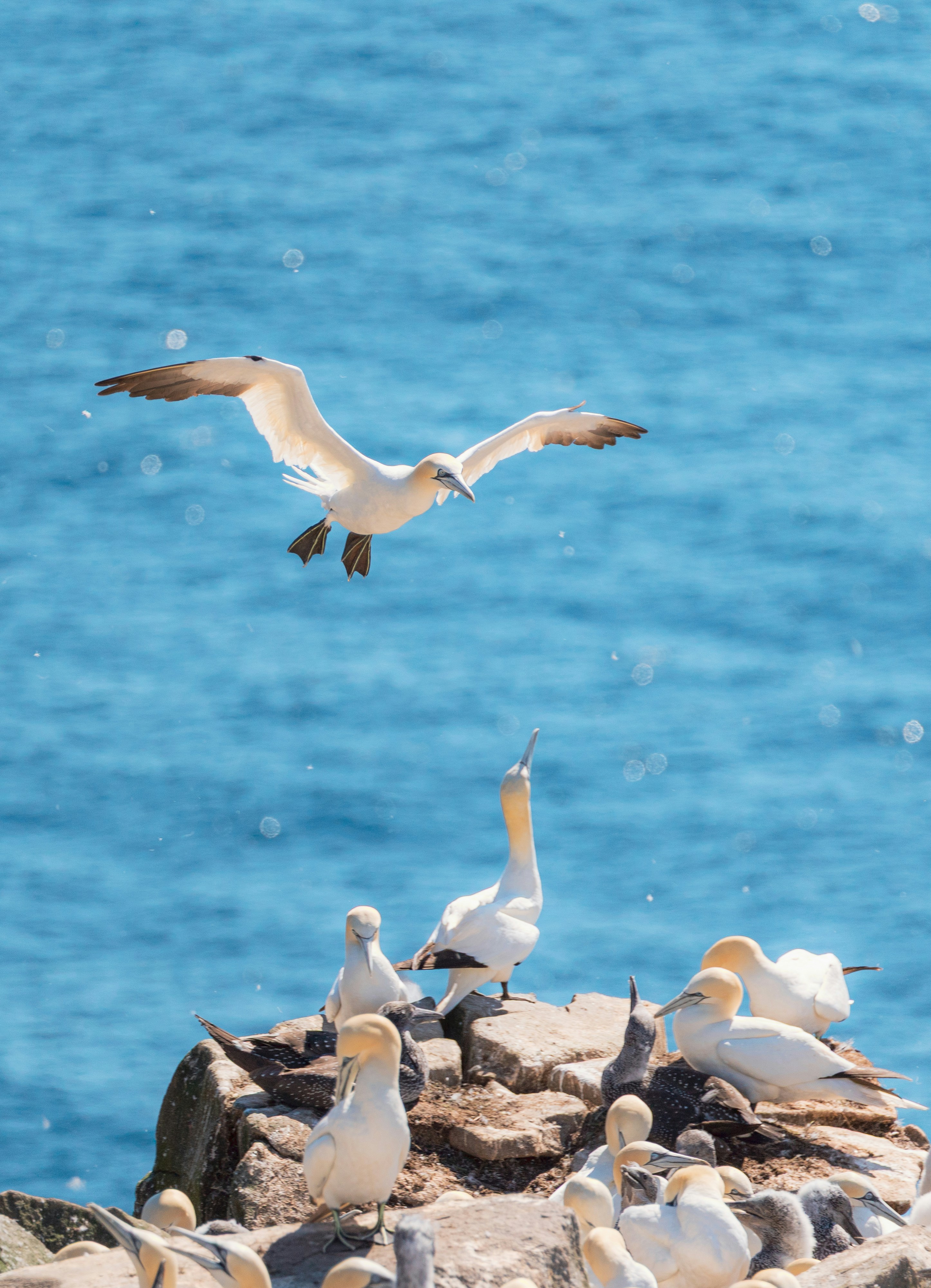 Photo by francis_nie