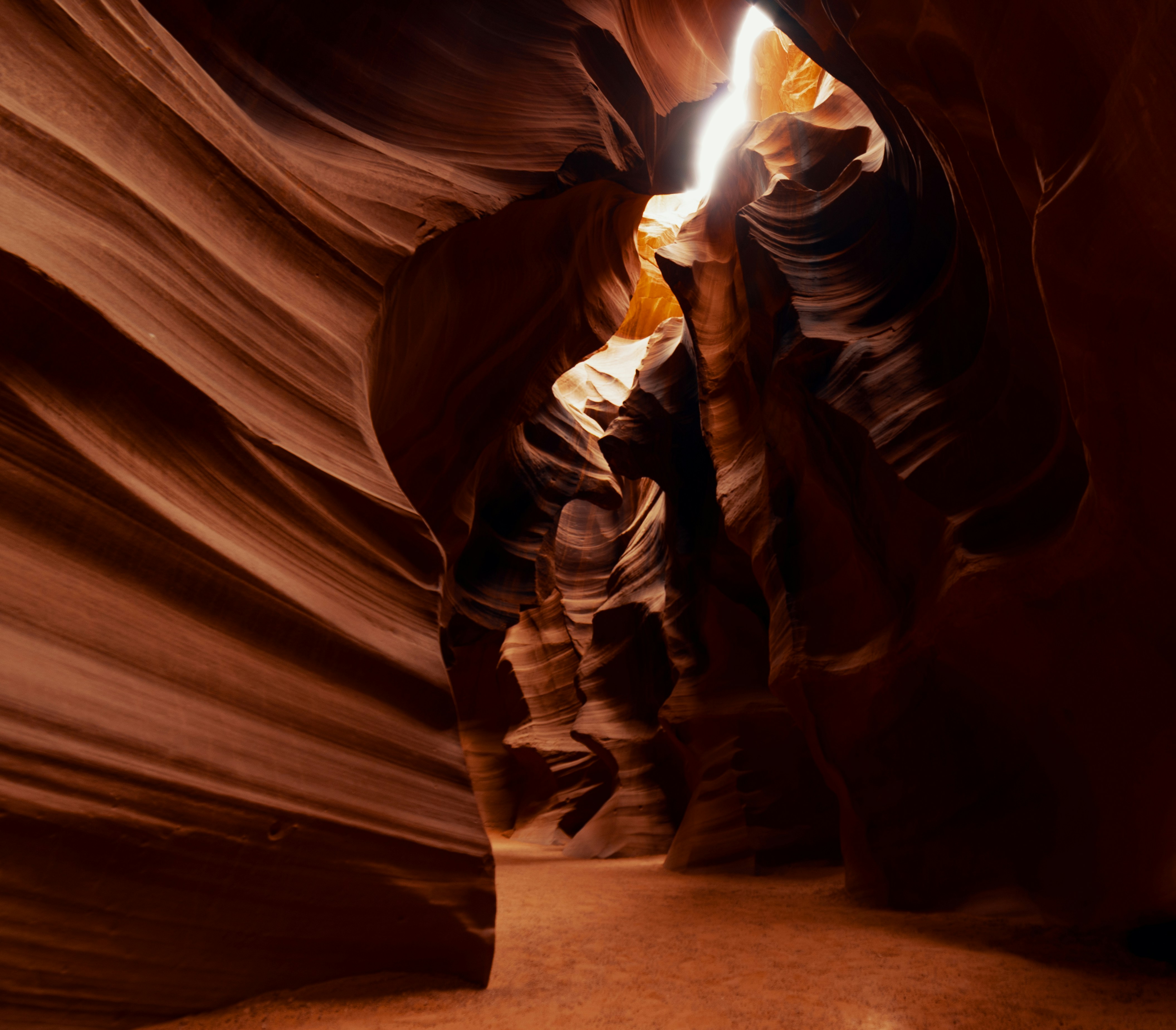 Photo by francis_nie