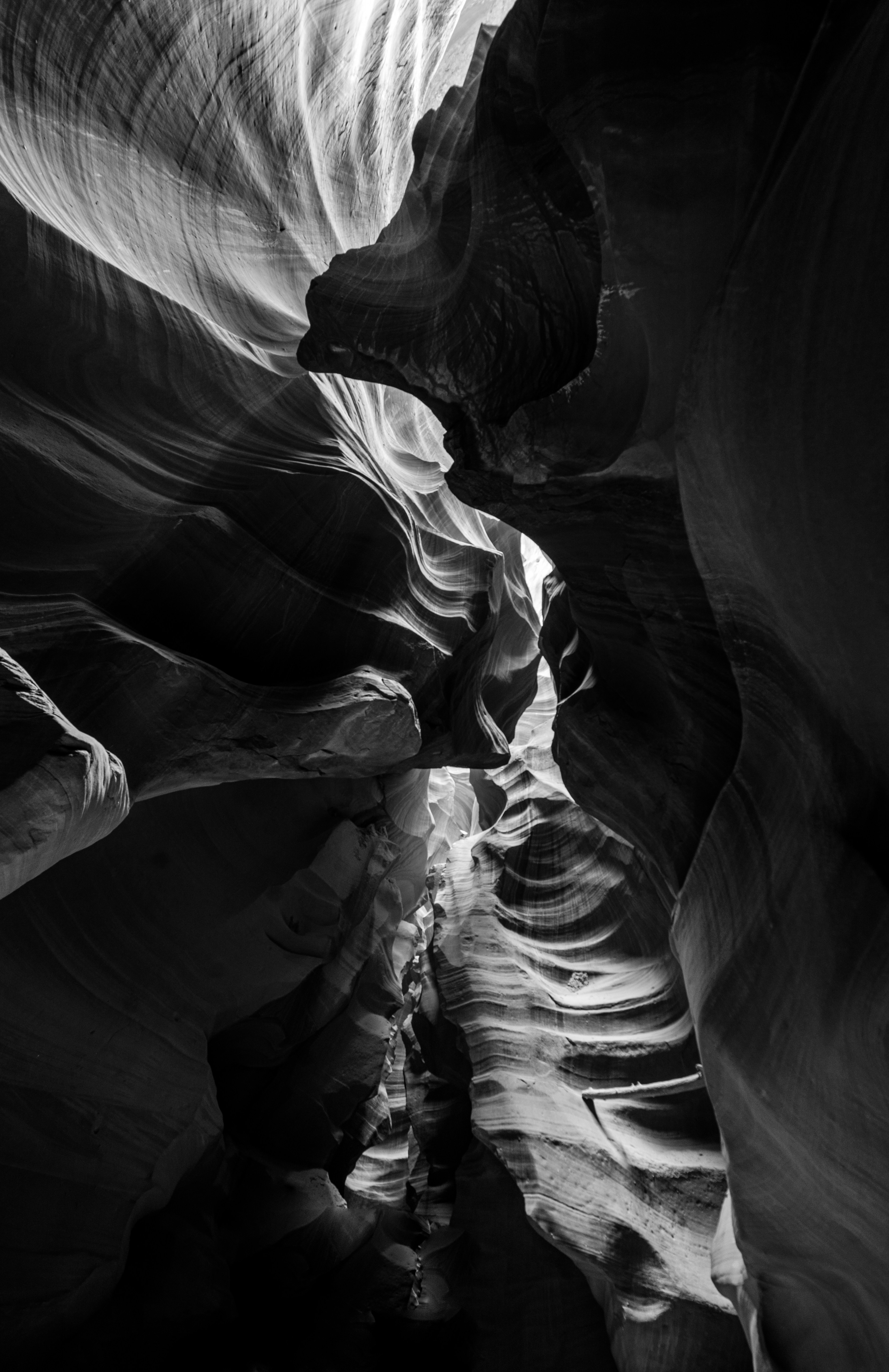 Photo by francis_nie