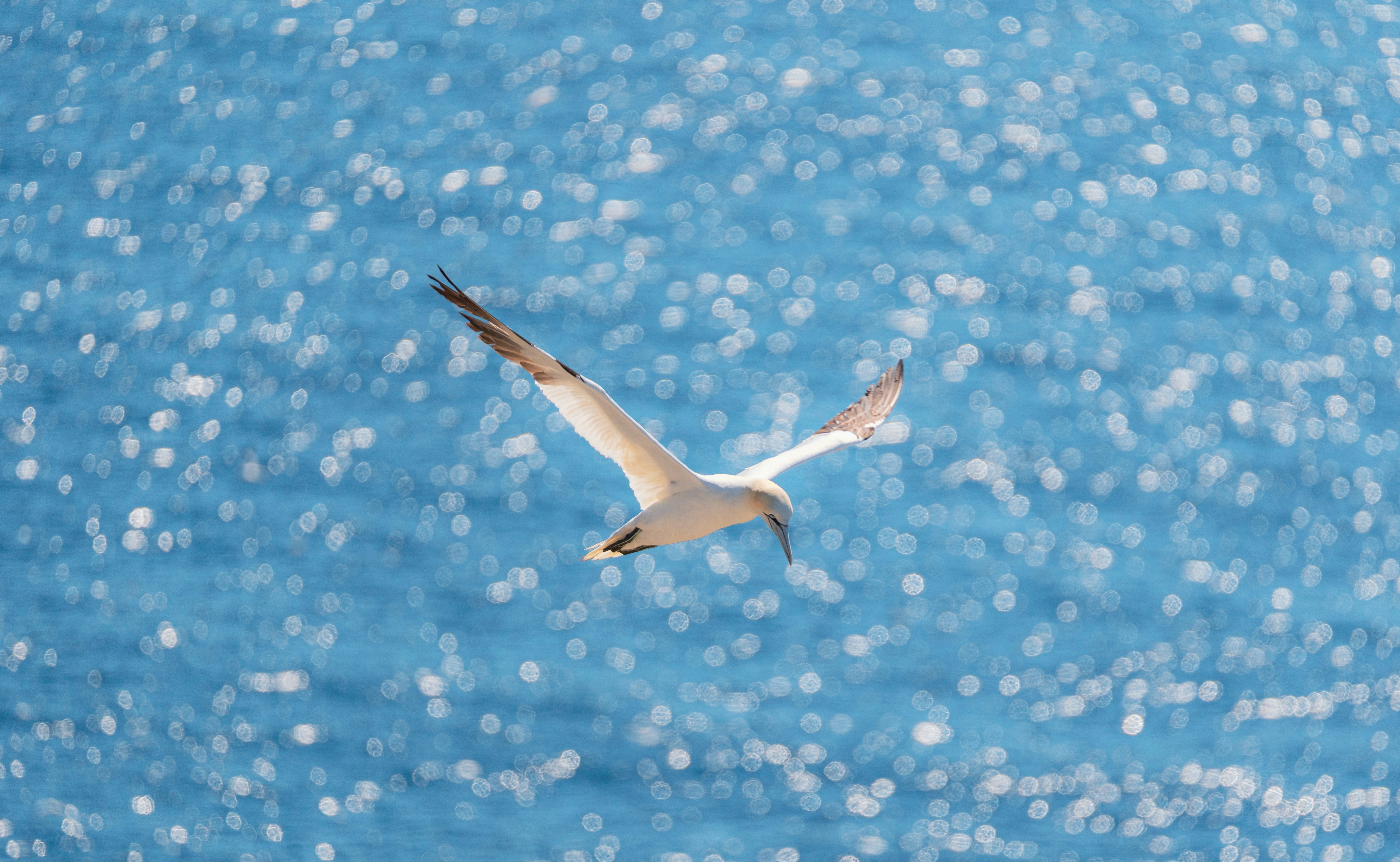 Photo by francis_nie