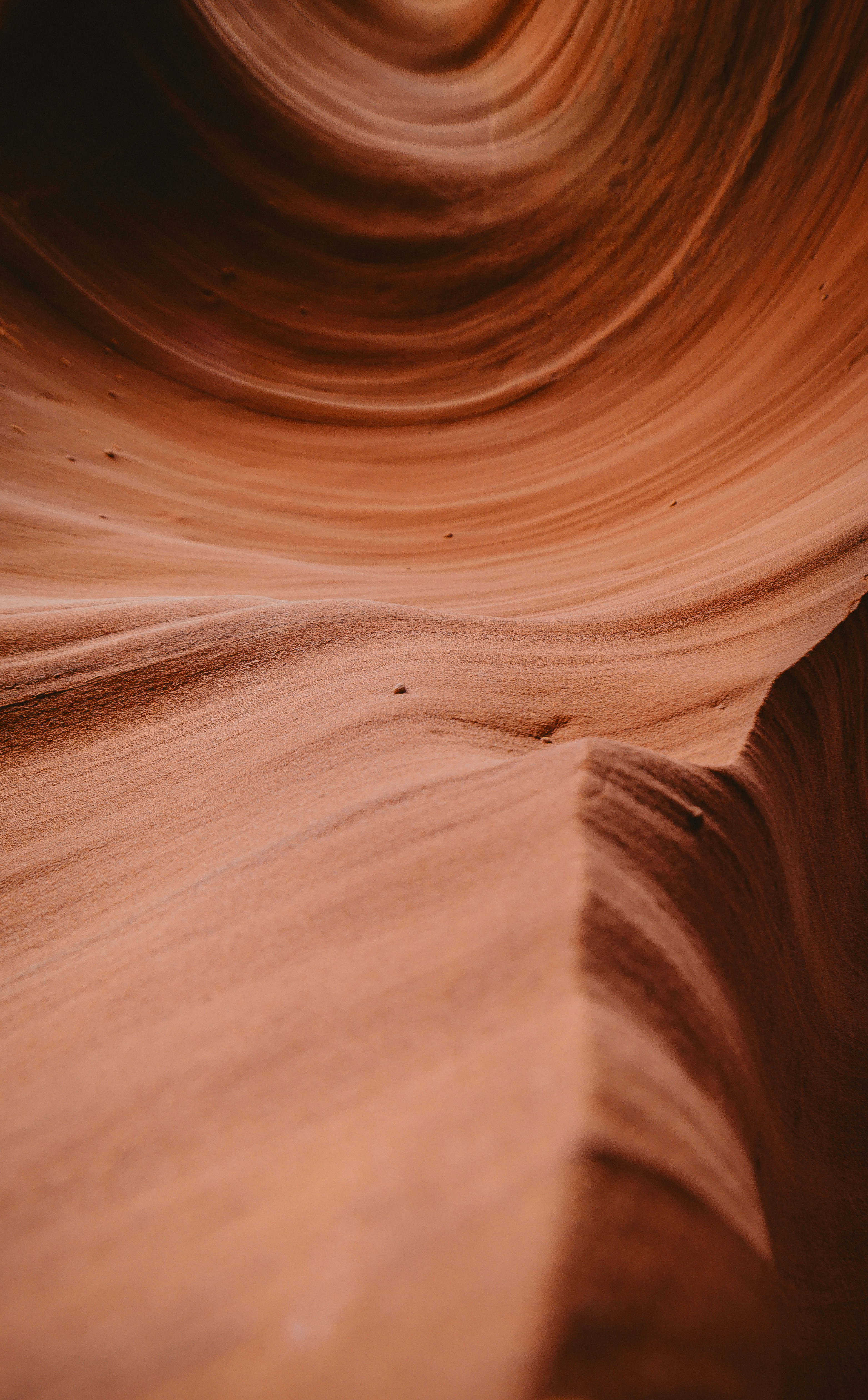 Photo by francis_nie