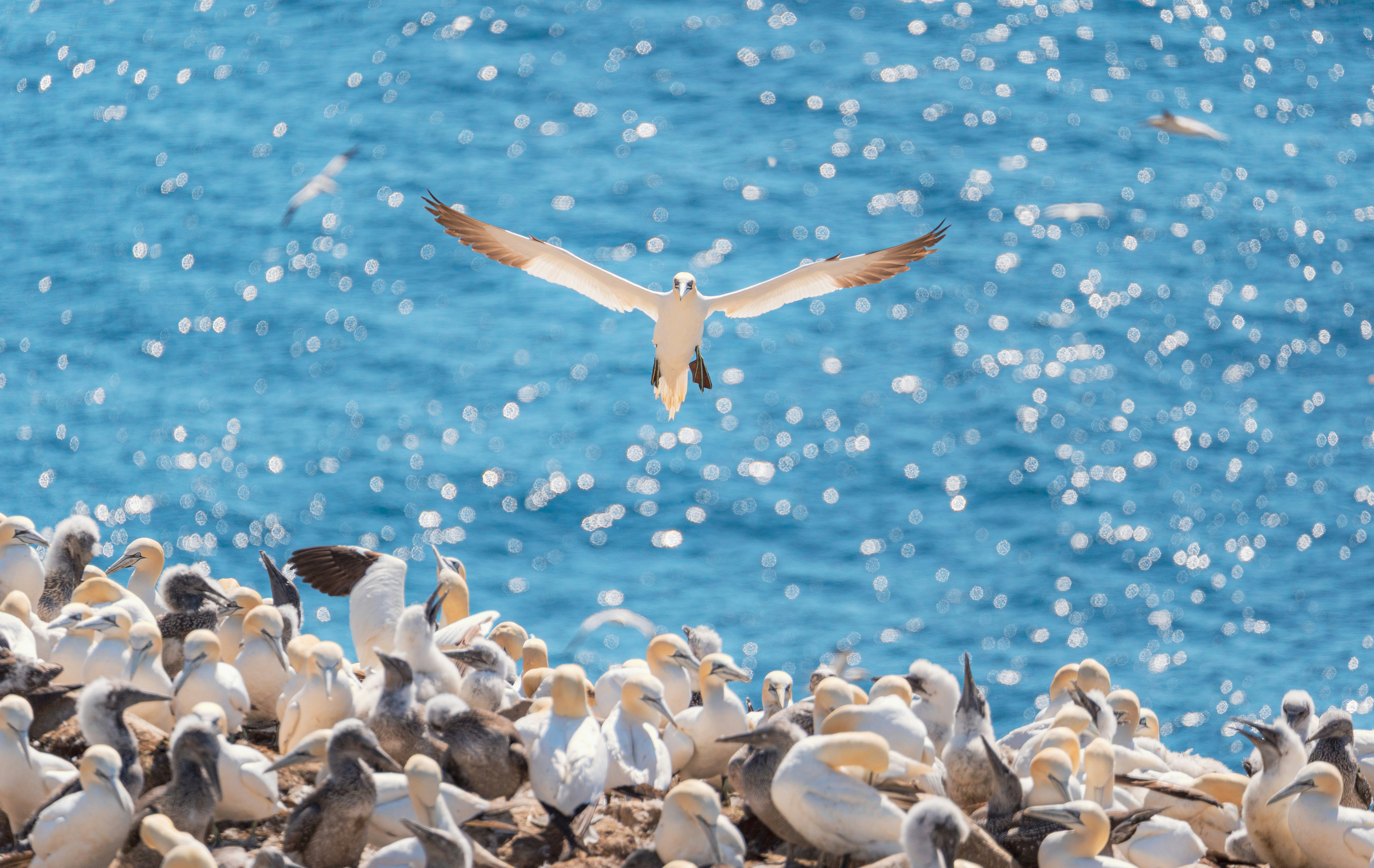 Photo by francis_nie