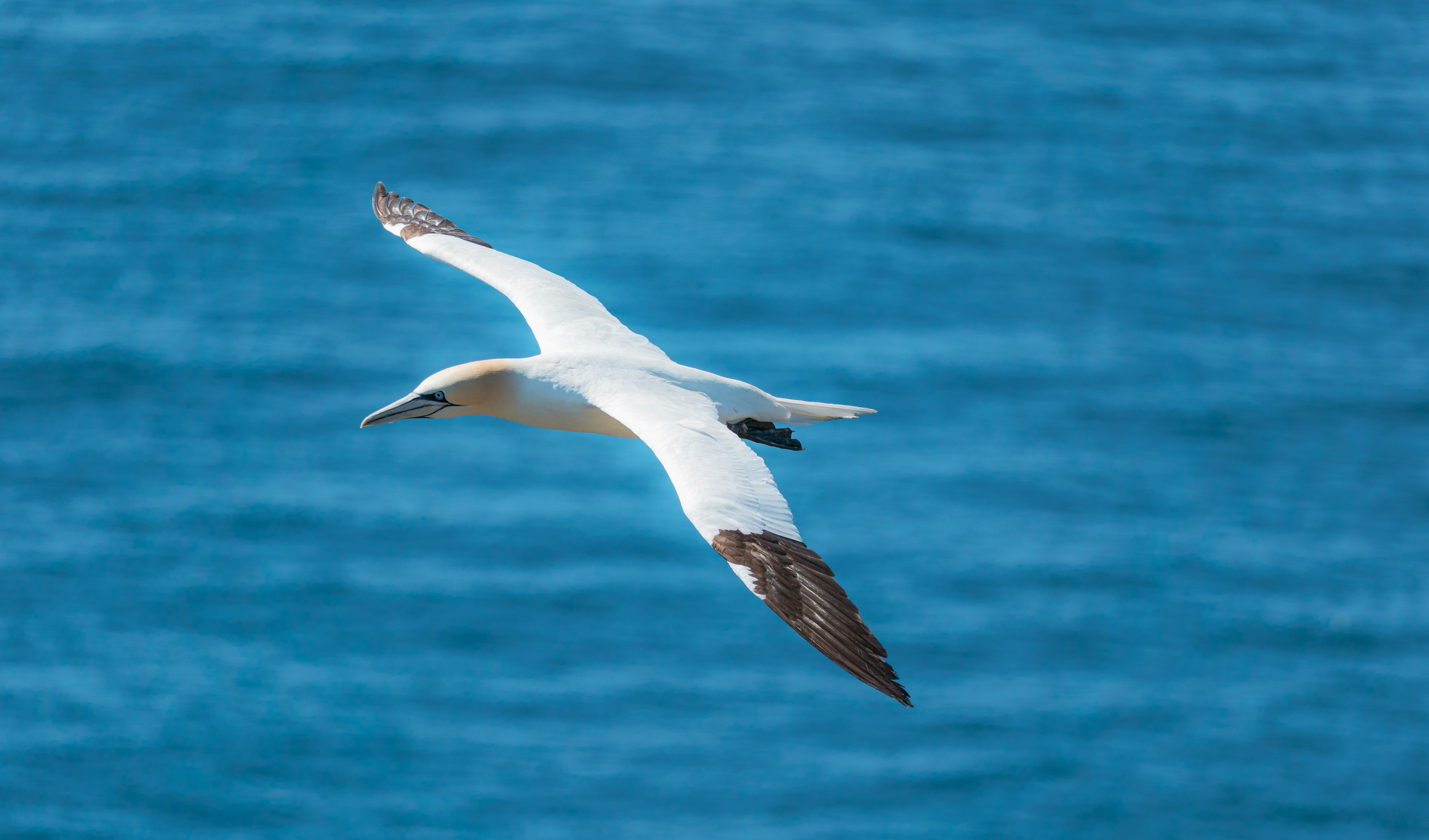 Photo by francis_nie