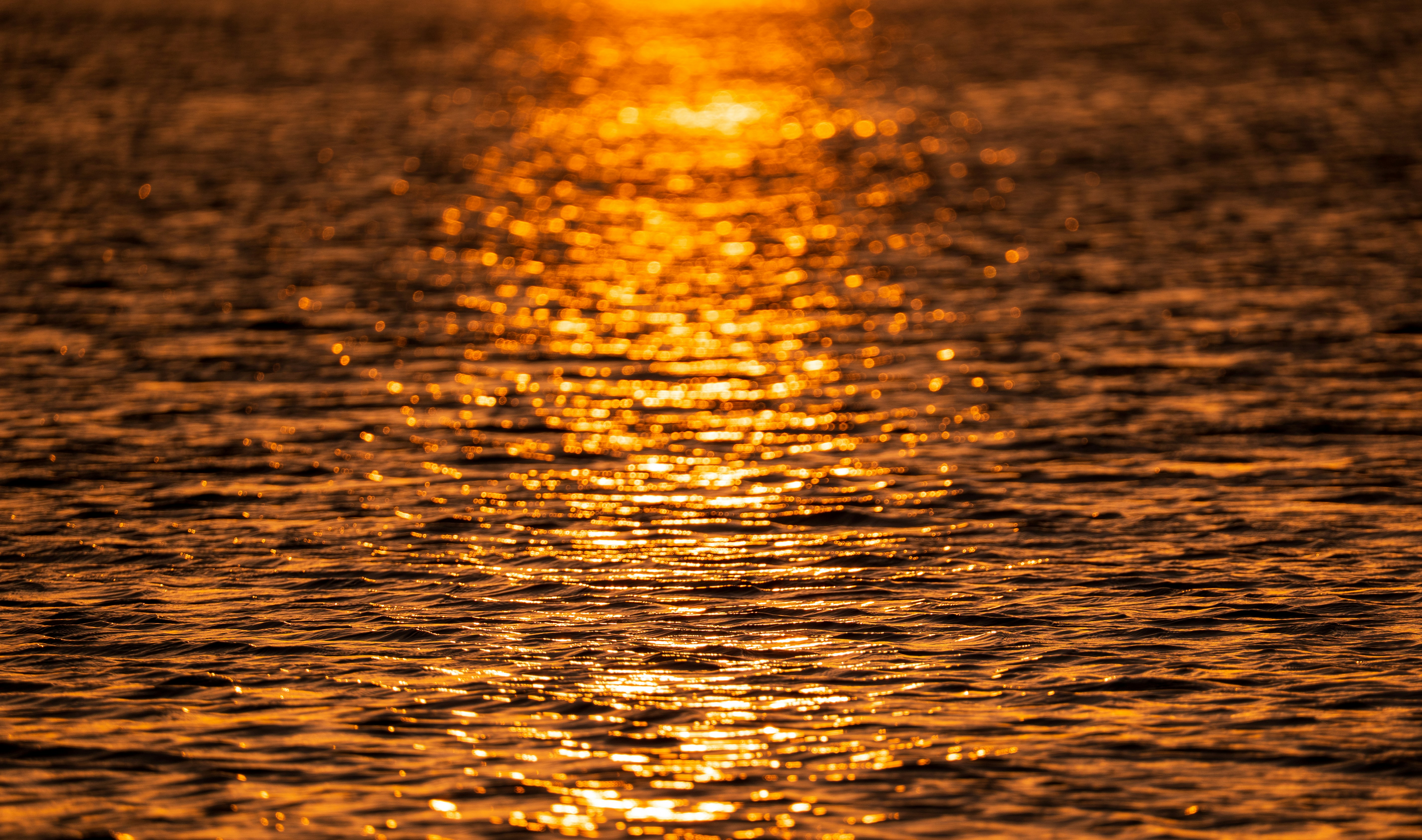Sunlight reflects beautifully on the water's surface.