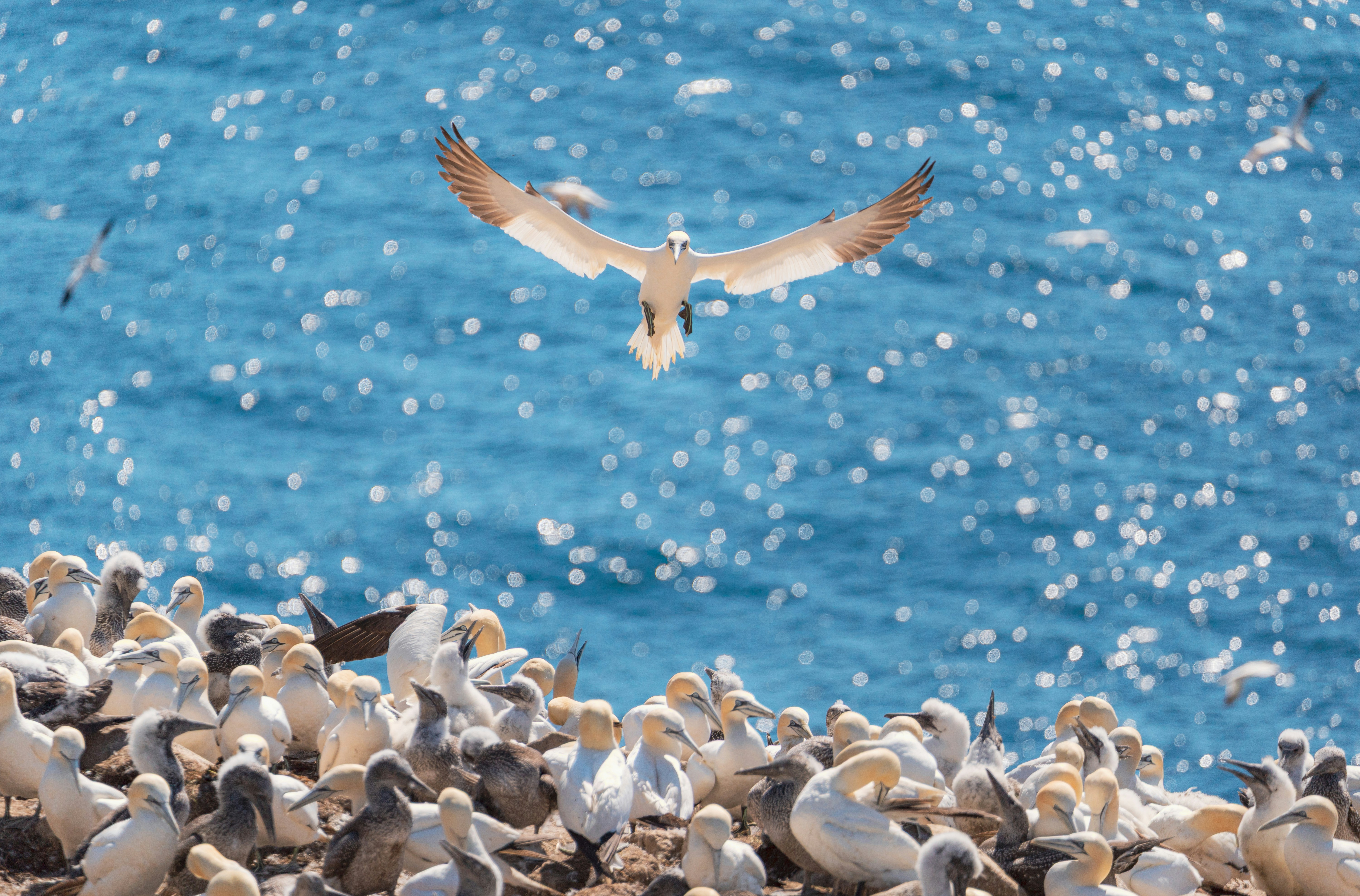 Photo by francis_nie