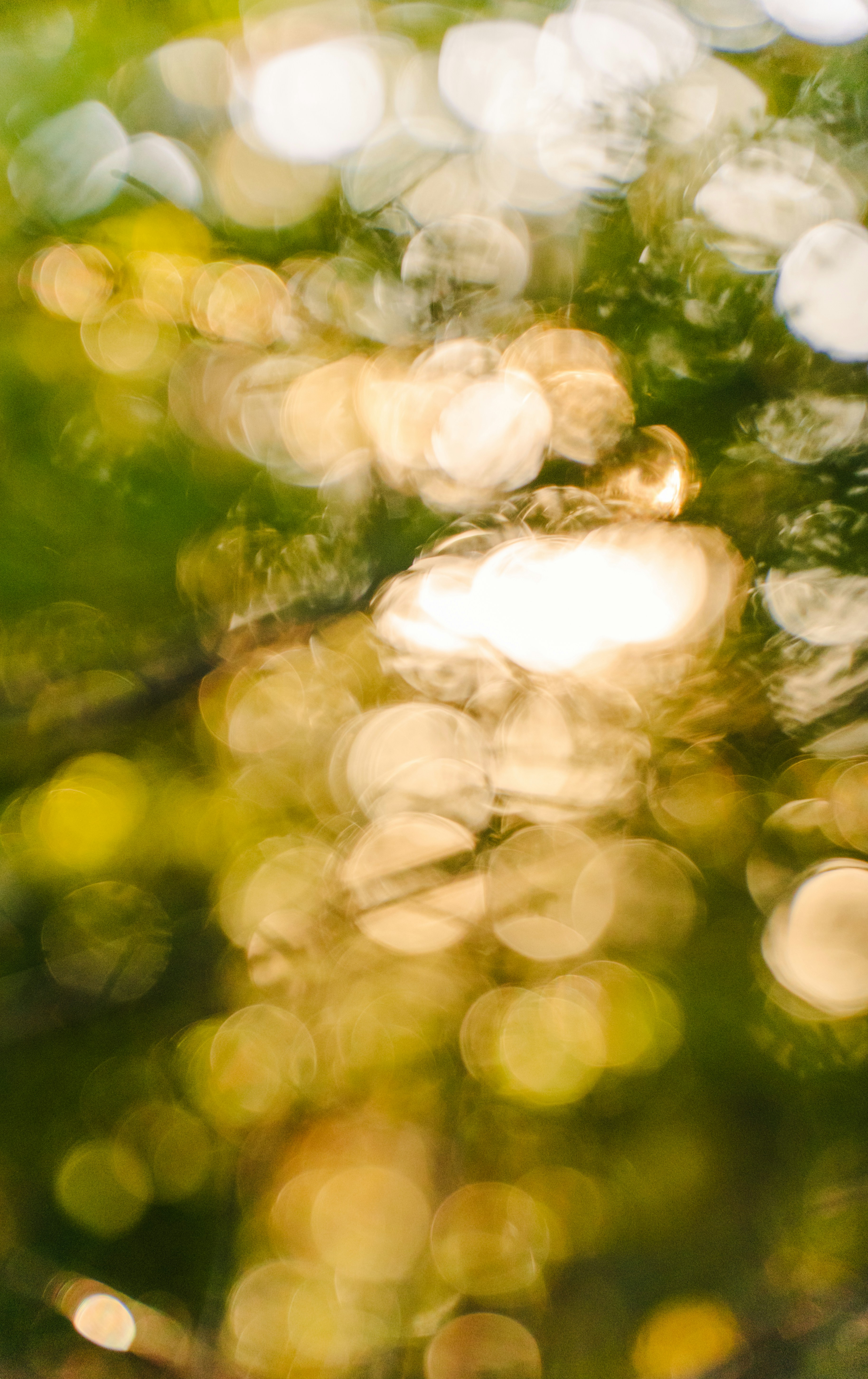 Photo by francis_nie