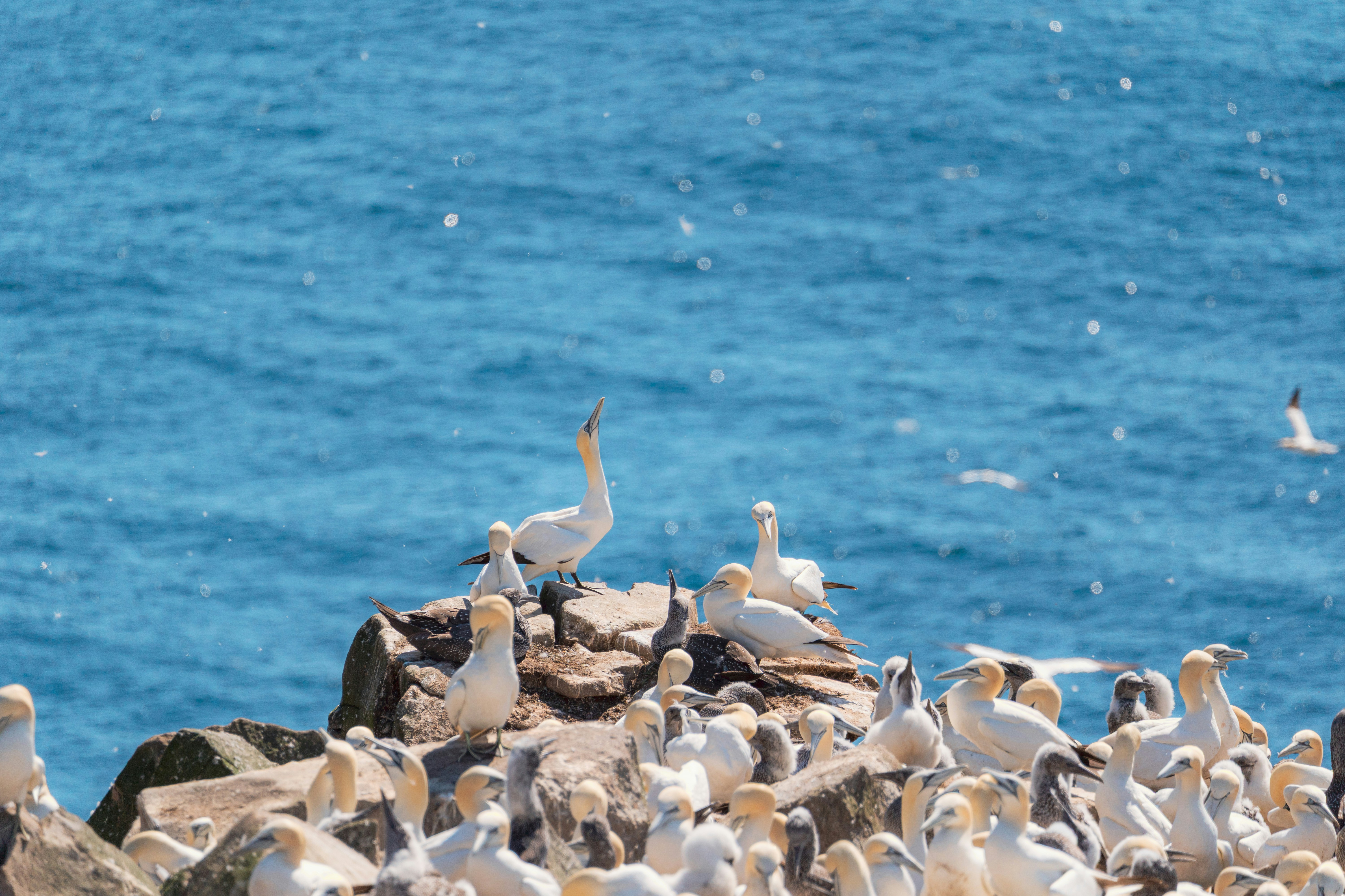 Photo by francis_nie