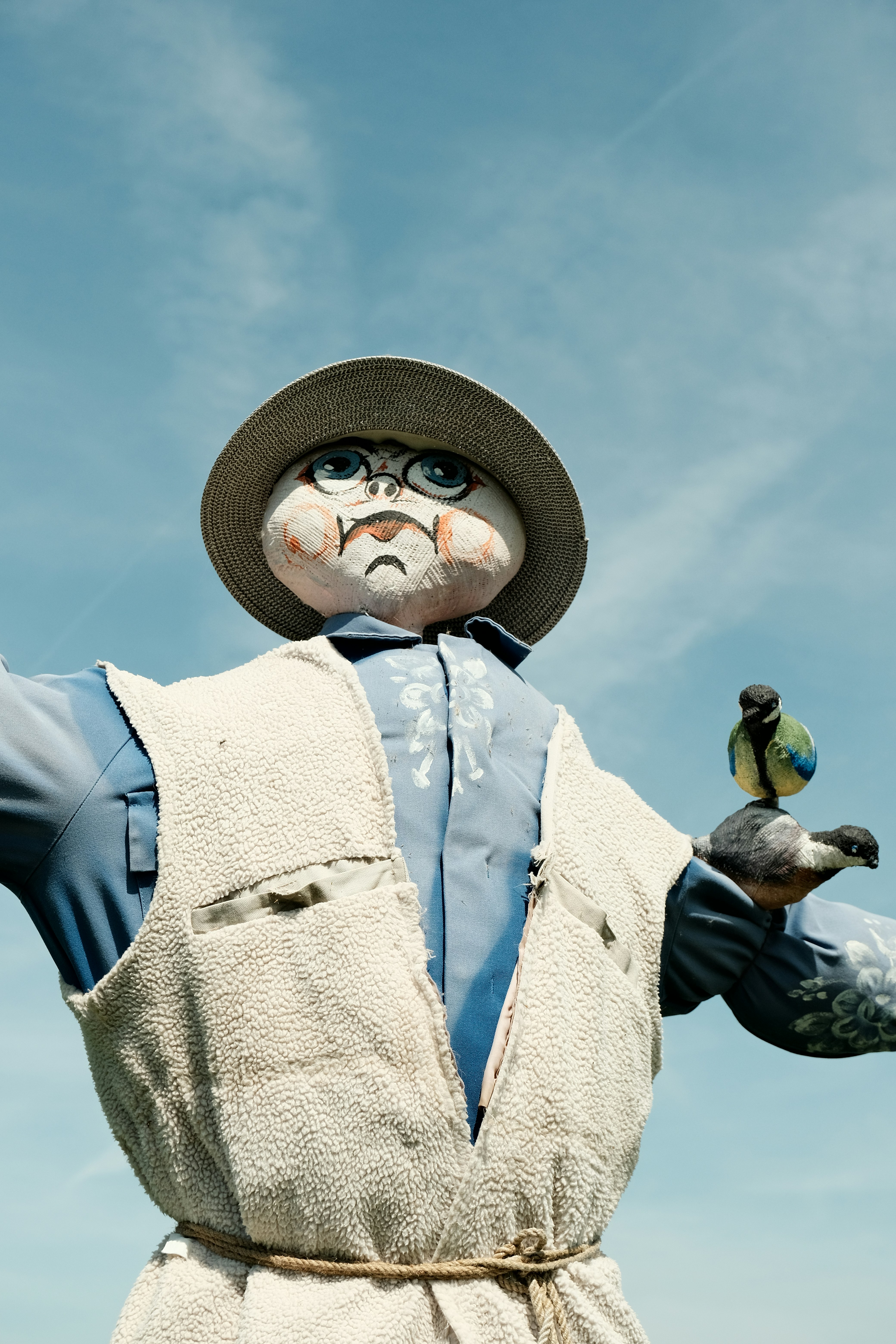 Scarecrow with a bird perched on its arm.