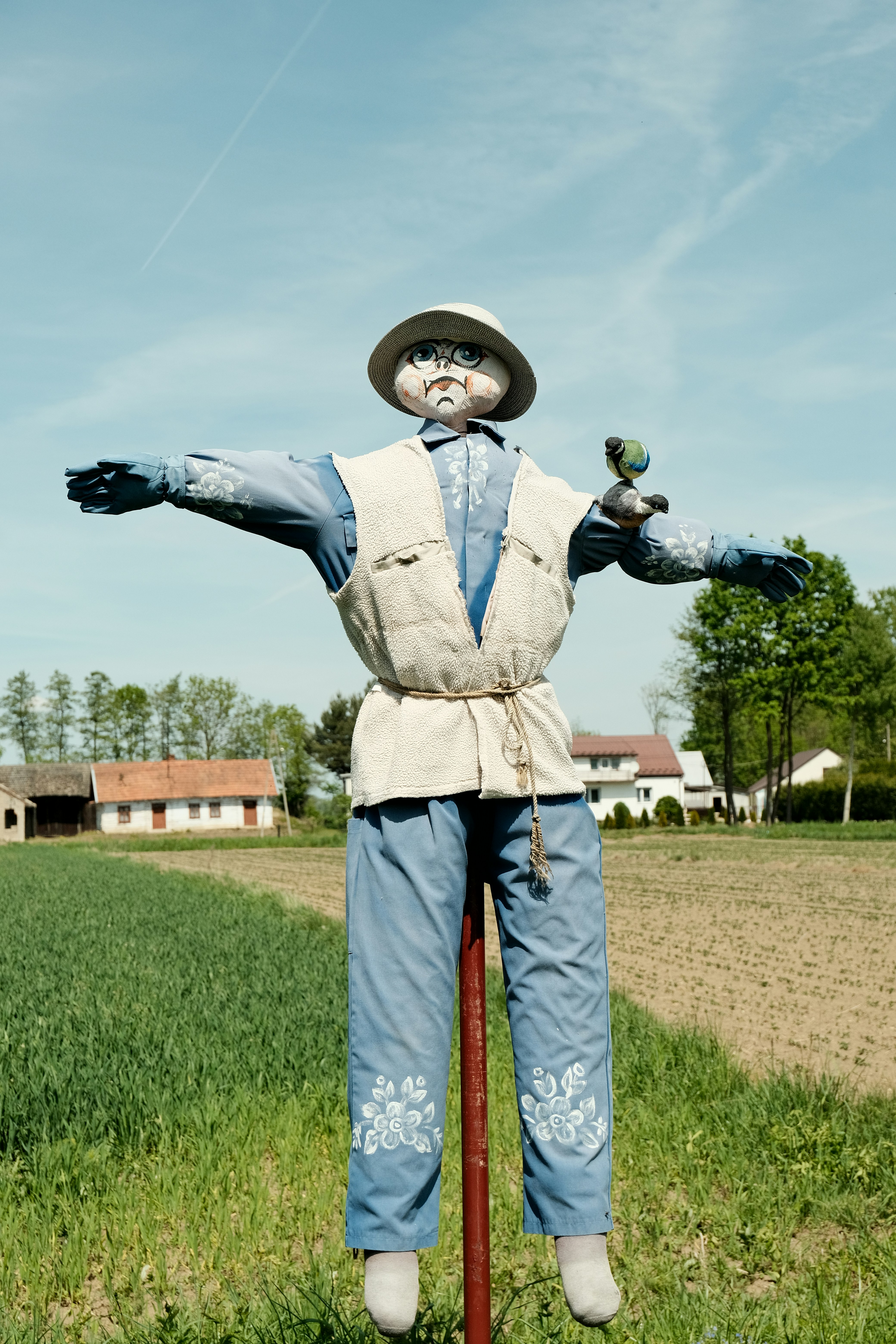 A scarecrow stands in a field under a blue sky.