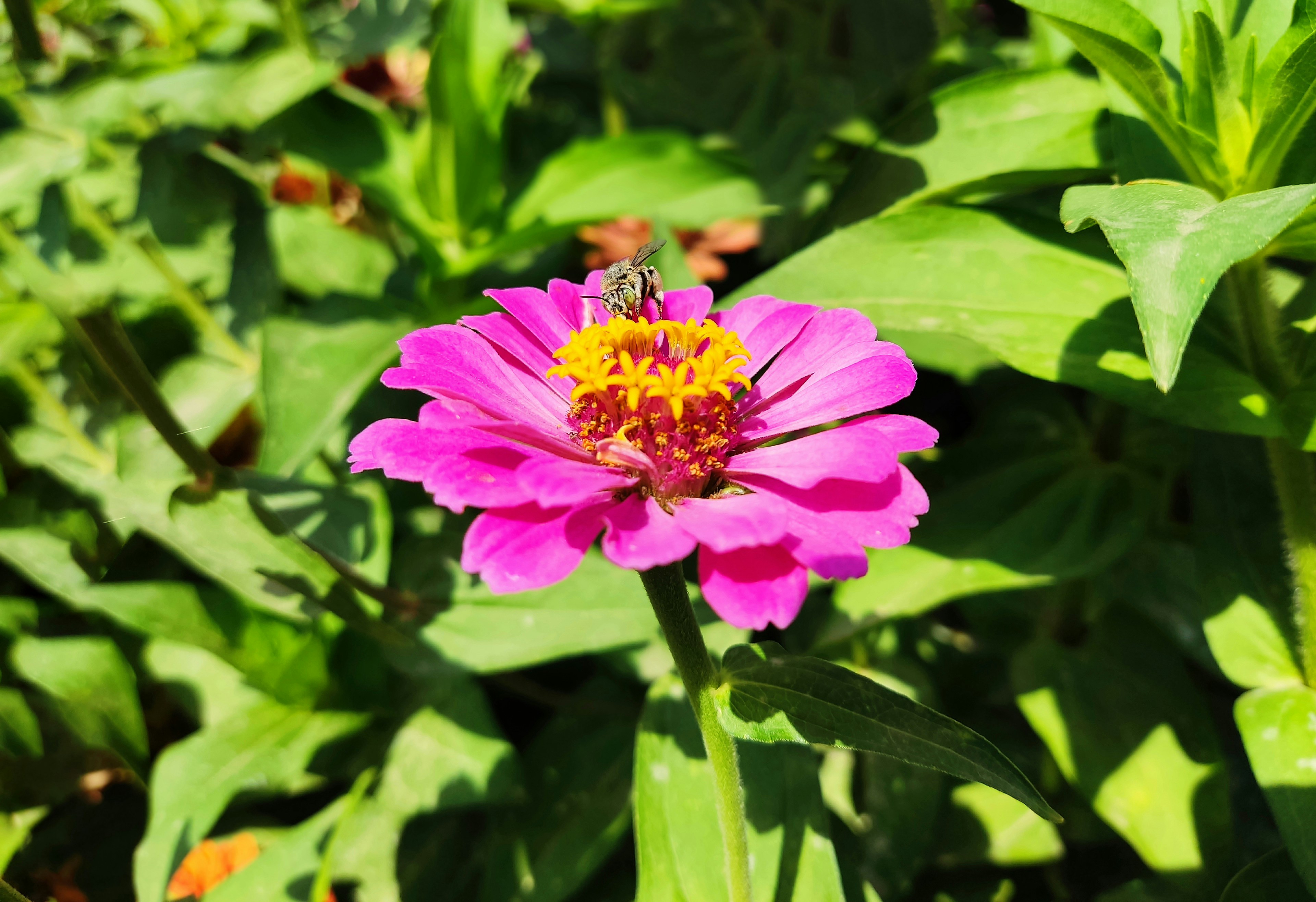 Photo by mahdisaeedi