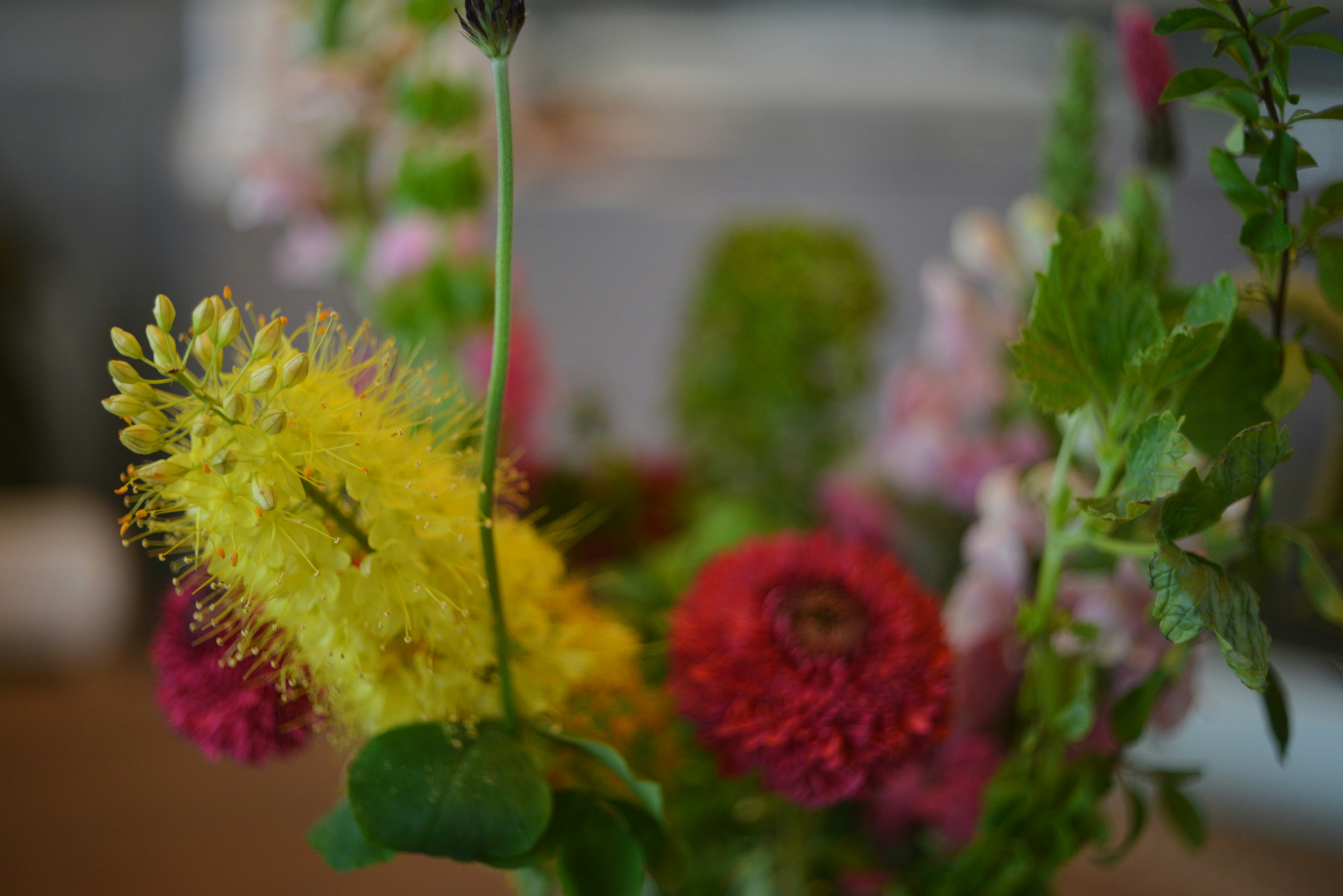 Photo by cherstve_pechivo