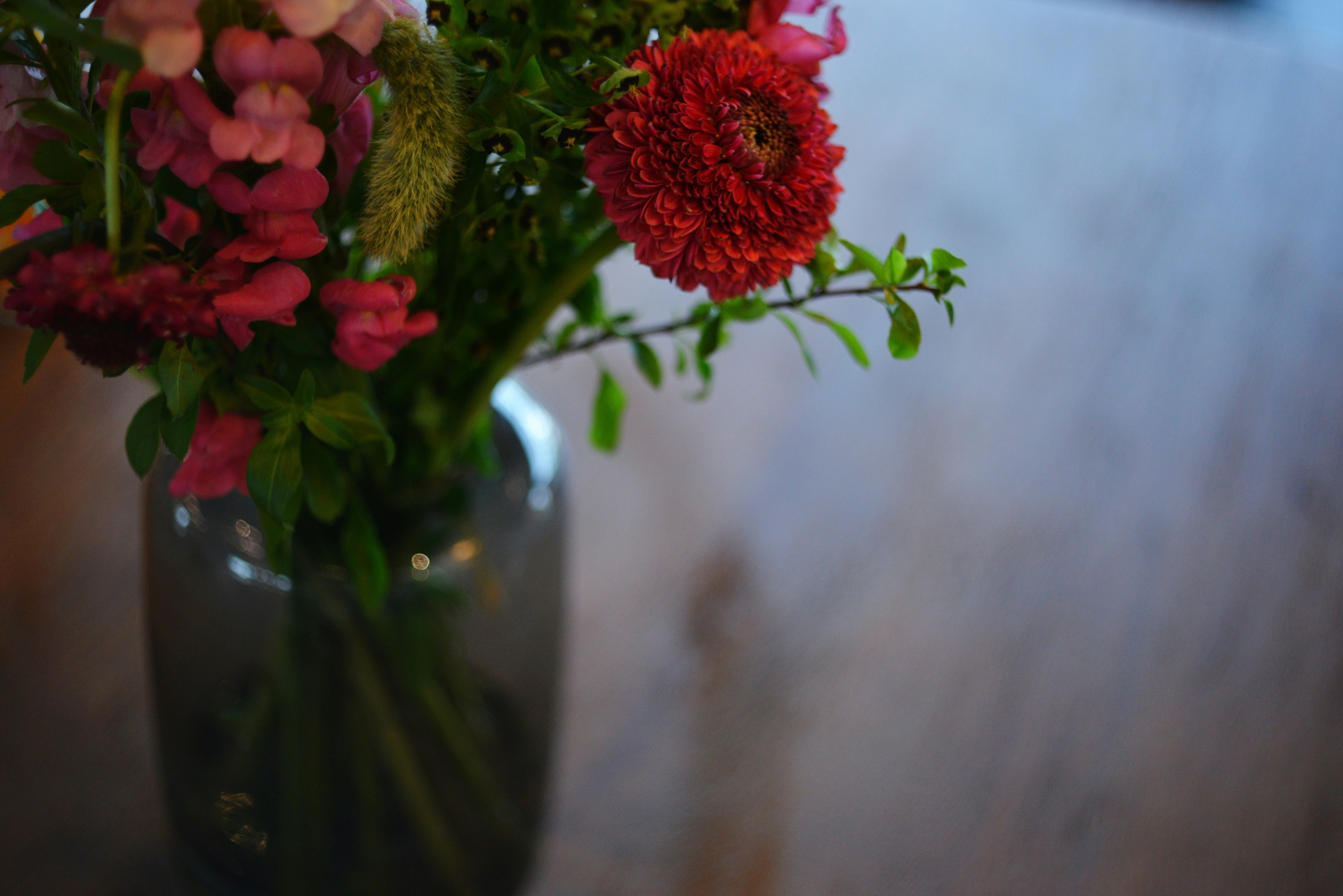 Photo by cherstve_pechivo