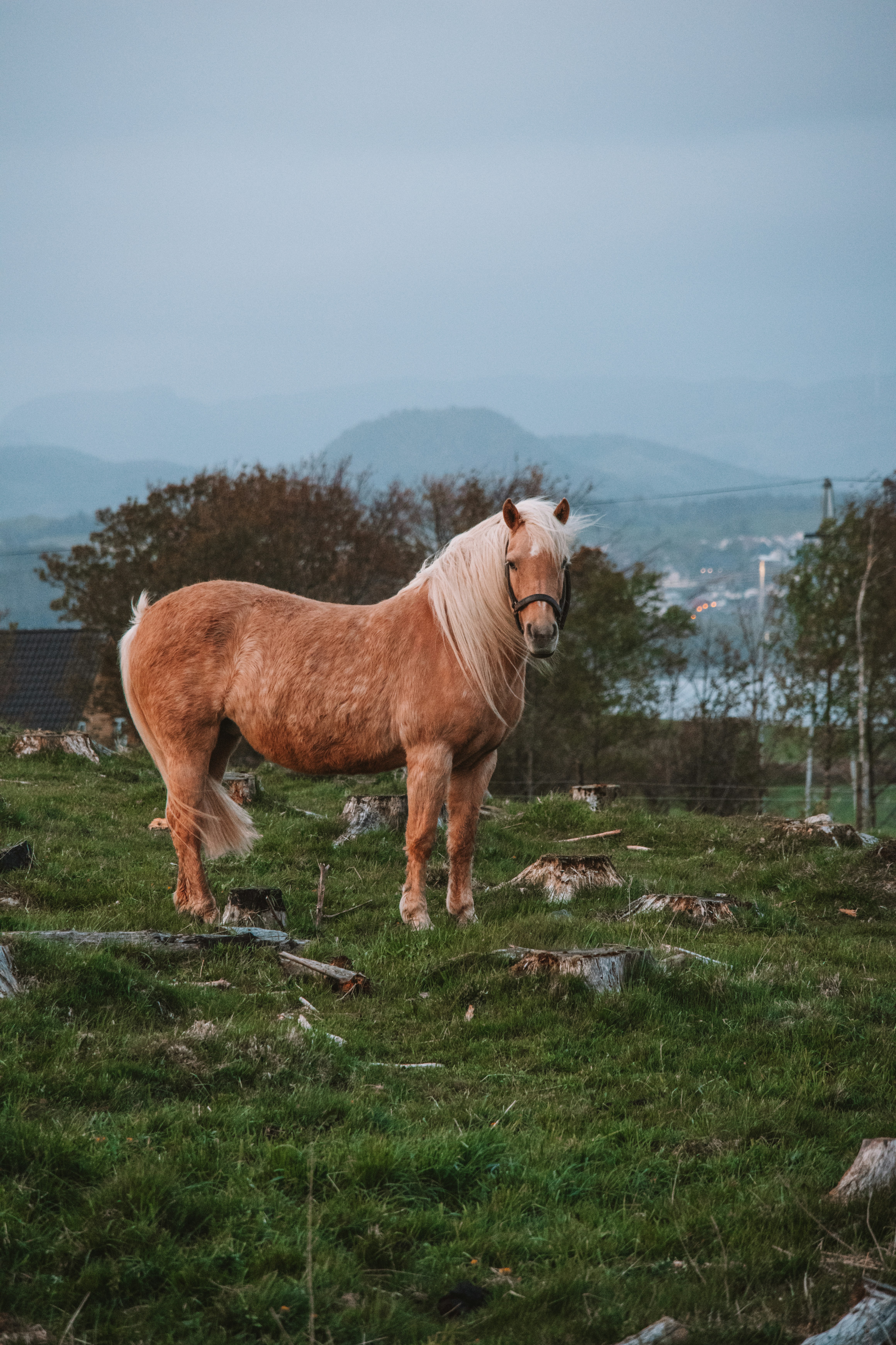 Photo by ingridmartinussen