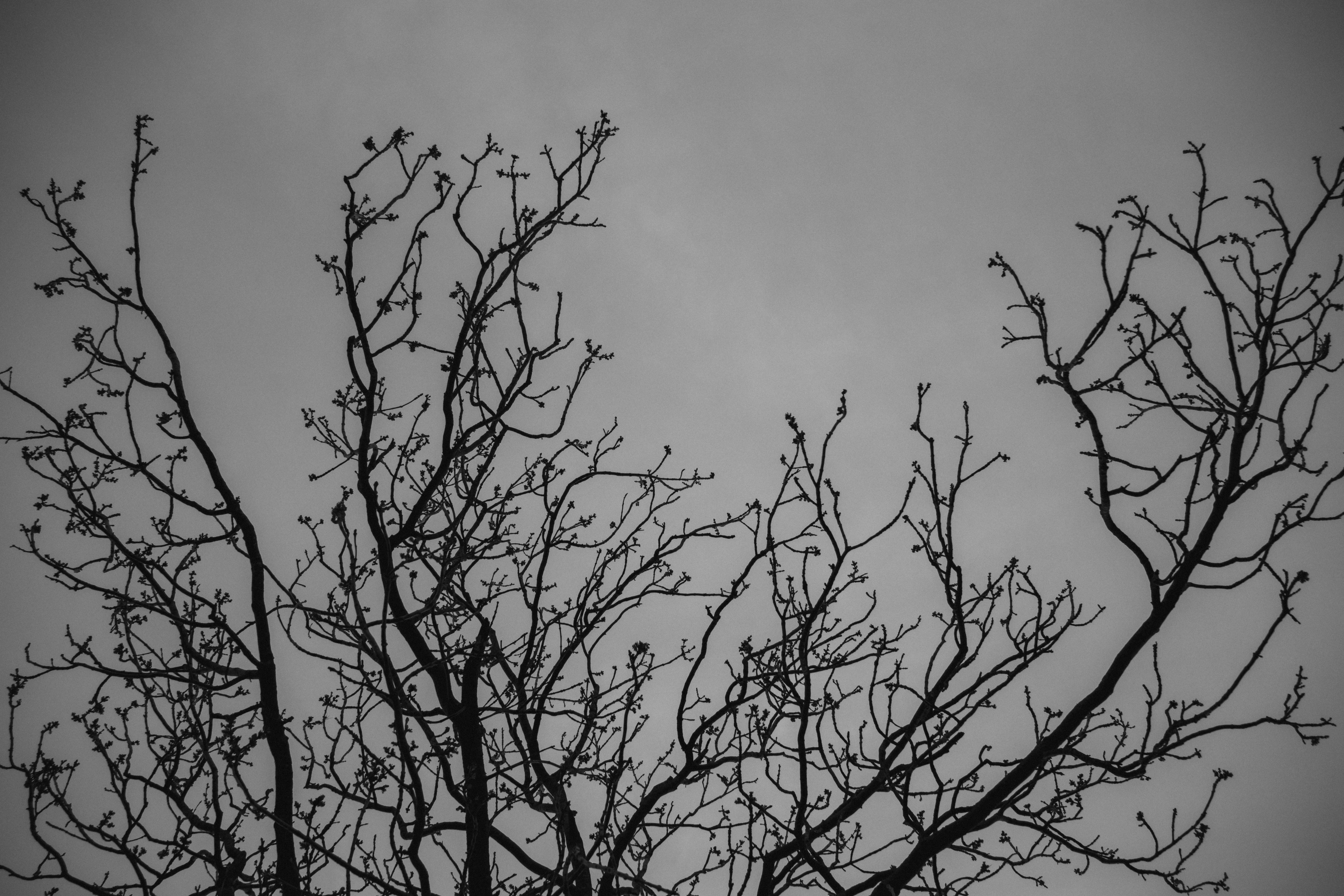 Photo by ingridmartinussen