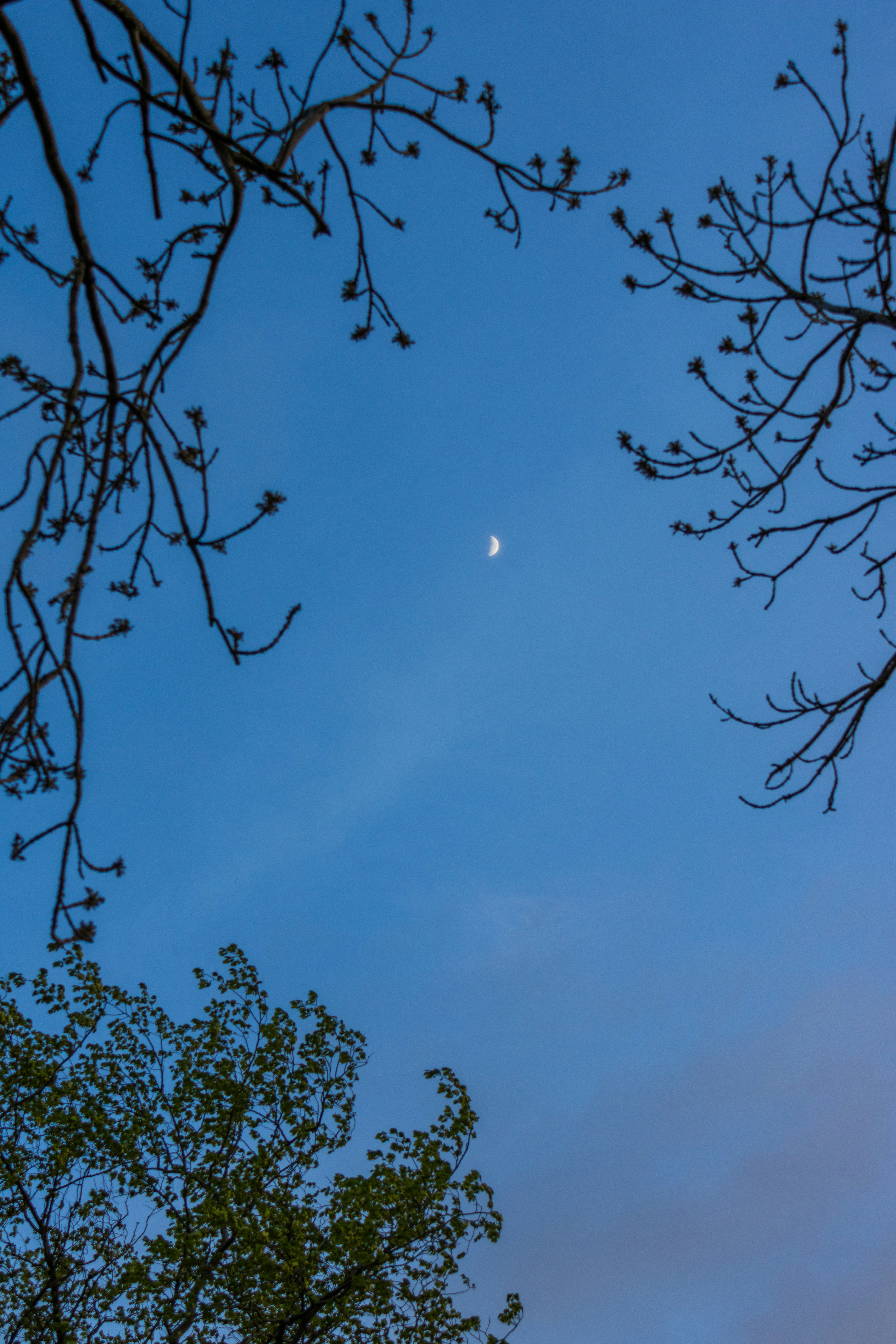 Photo by ingridmartinussen