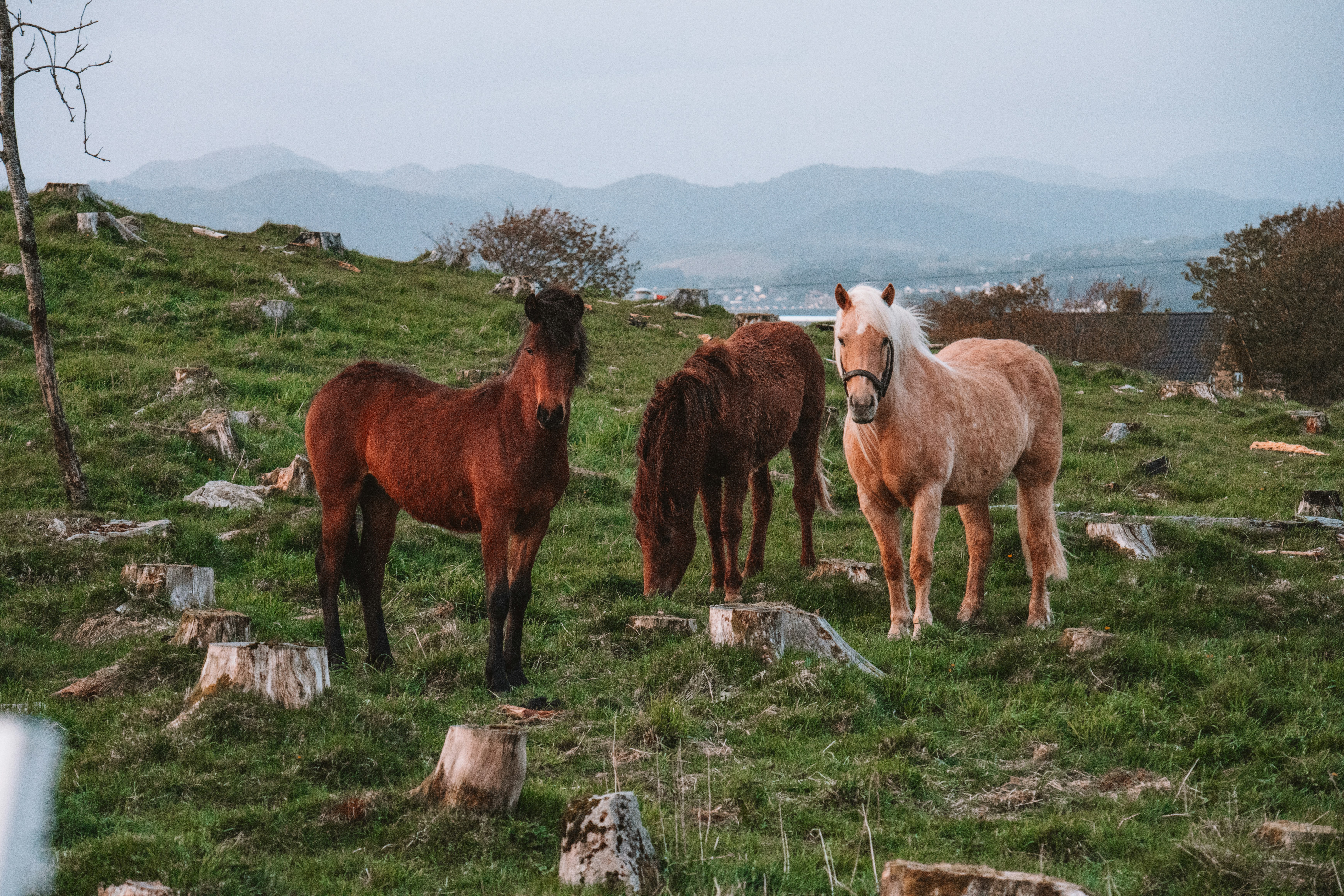 Photo by ingridmartinussen