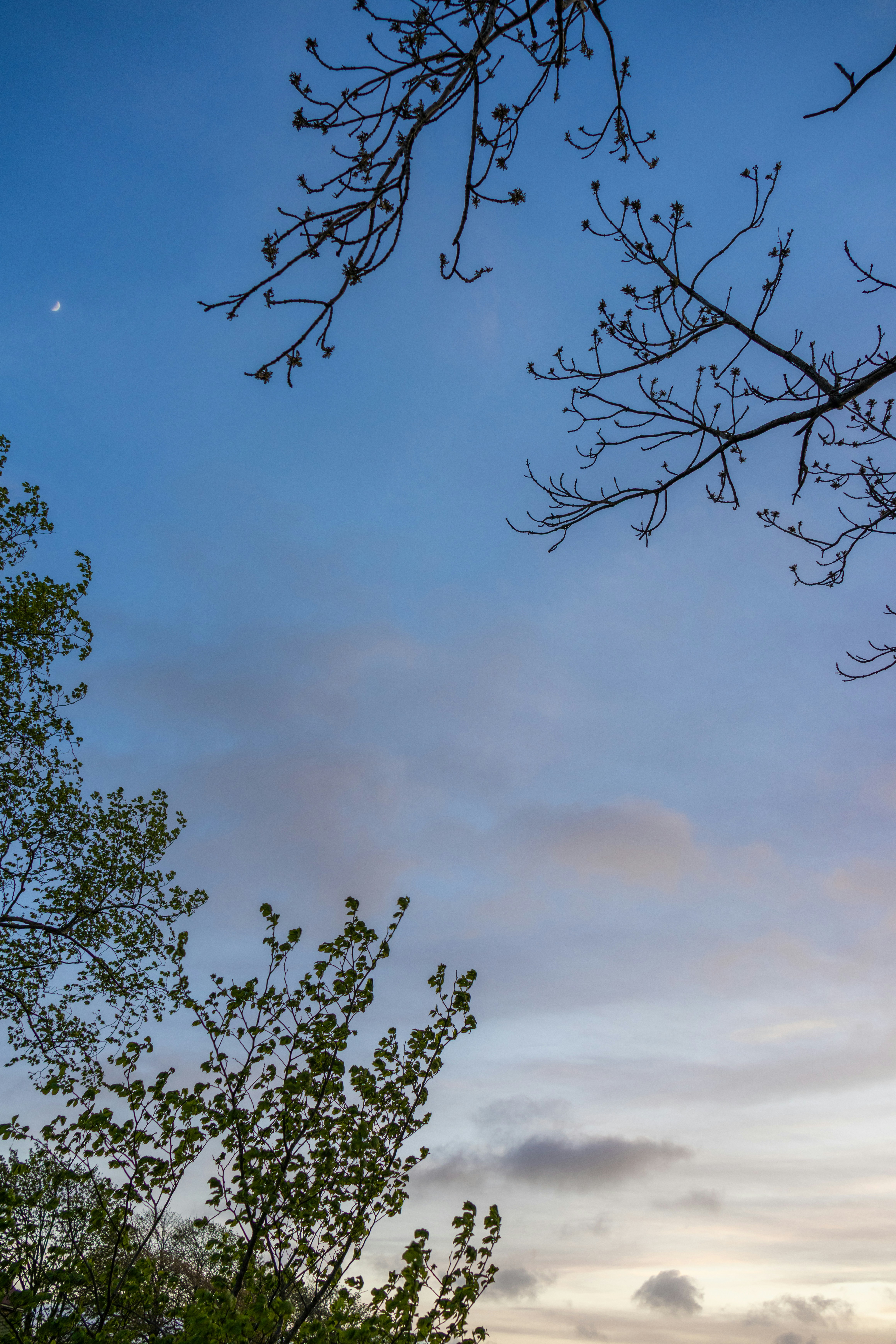 Photo by ingridmartinussen