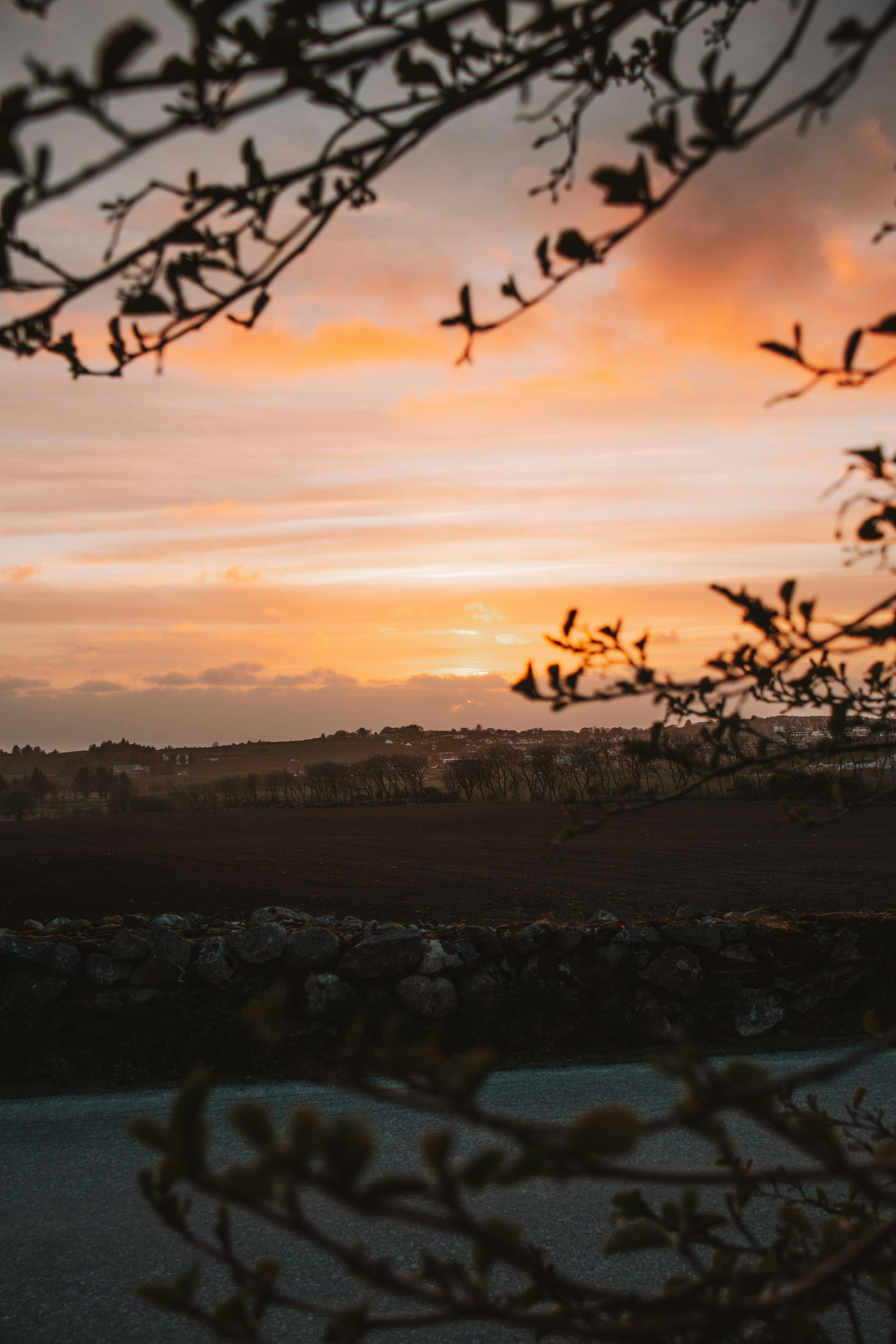 Photo by ingridmartinussen