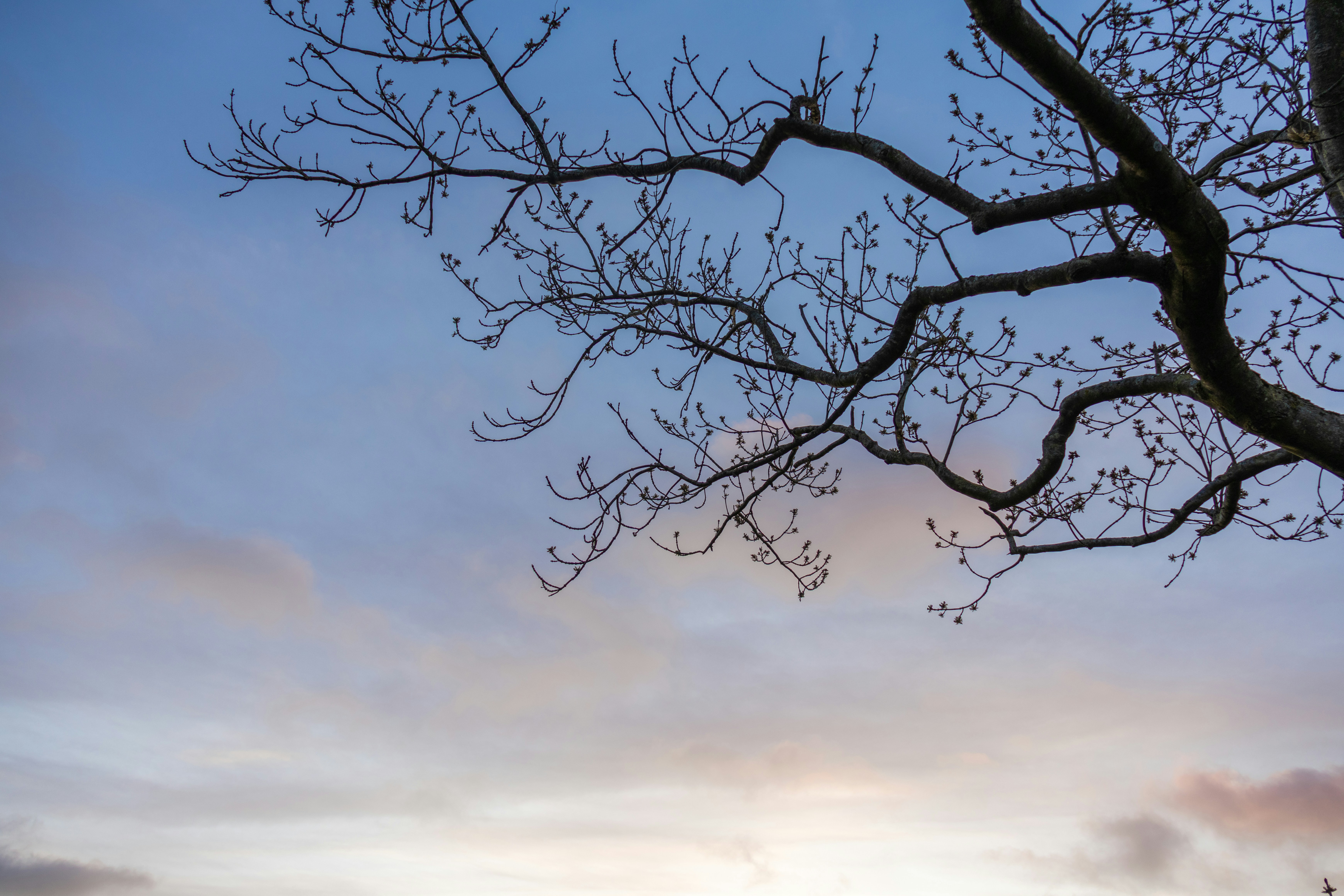 Photo by ingridmartinussen