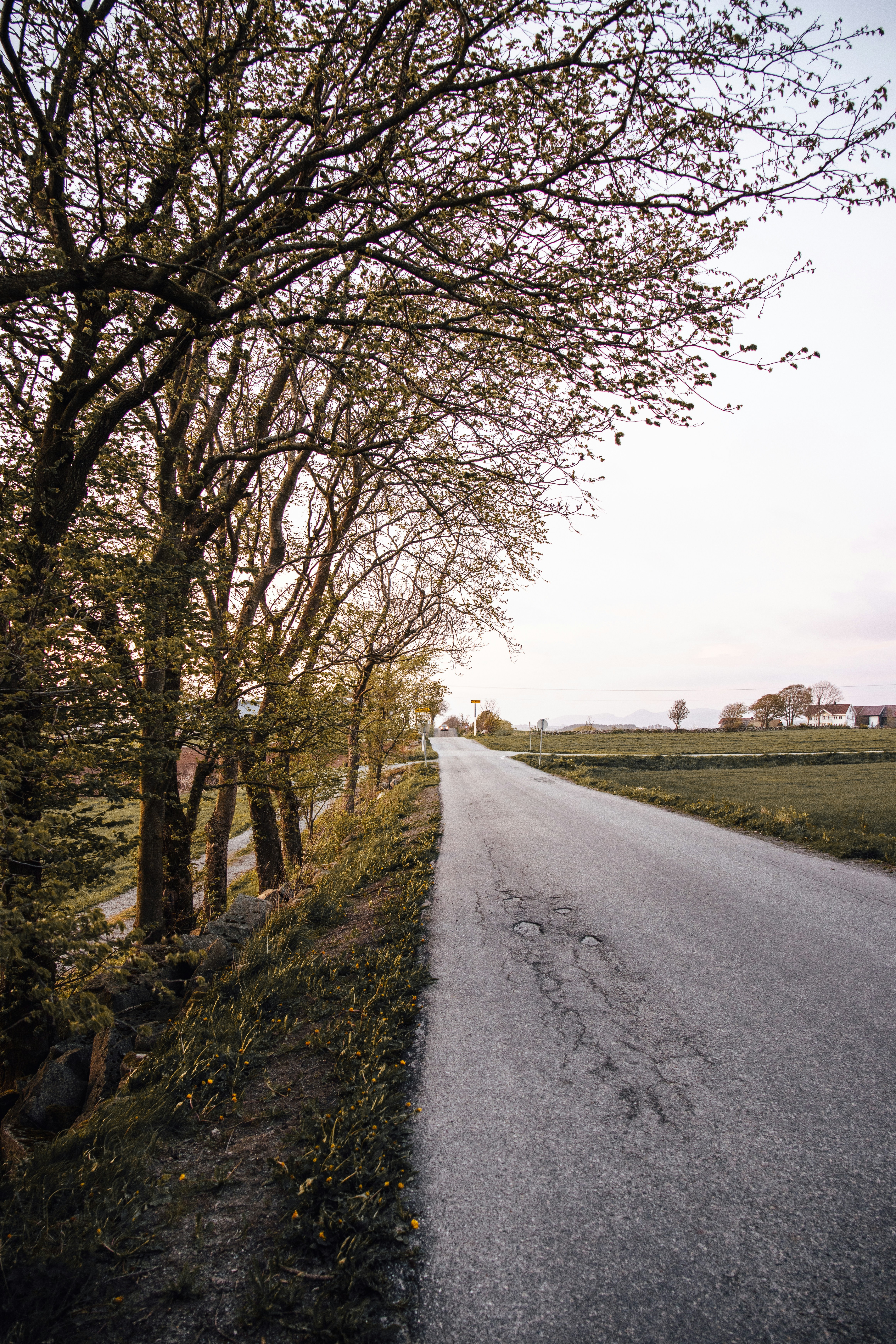 Photo by ingridmartinussen