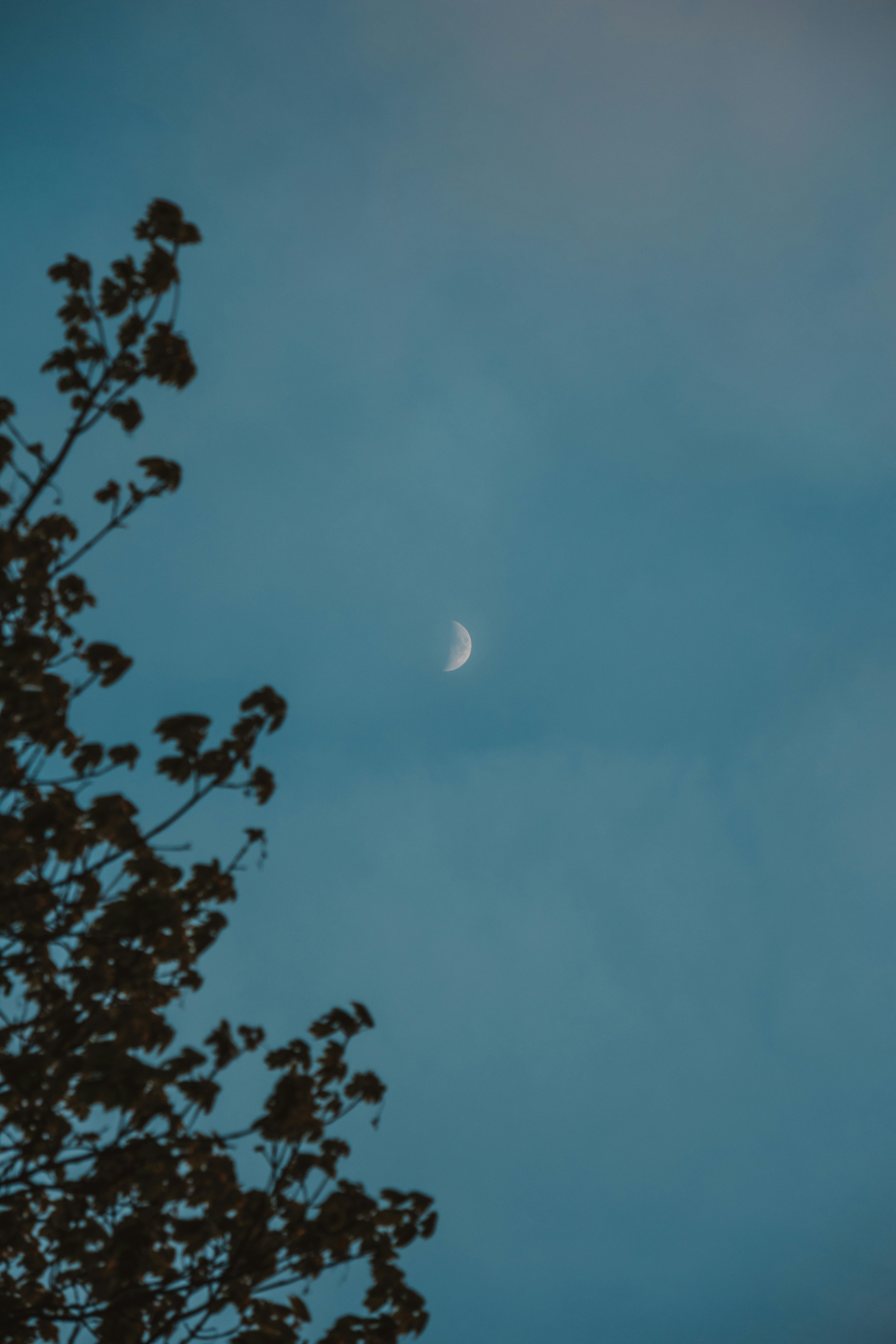 Photo by ingridmartinussen