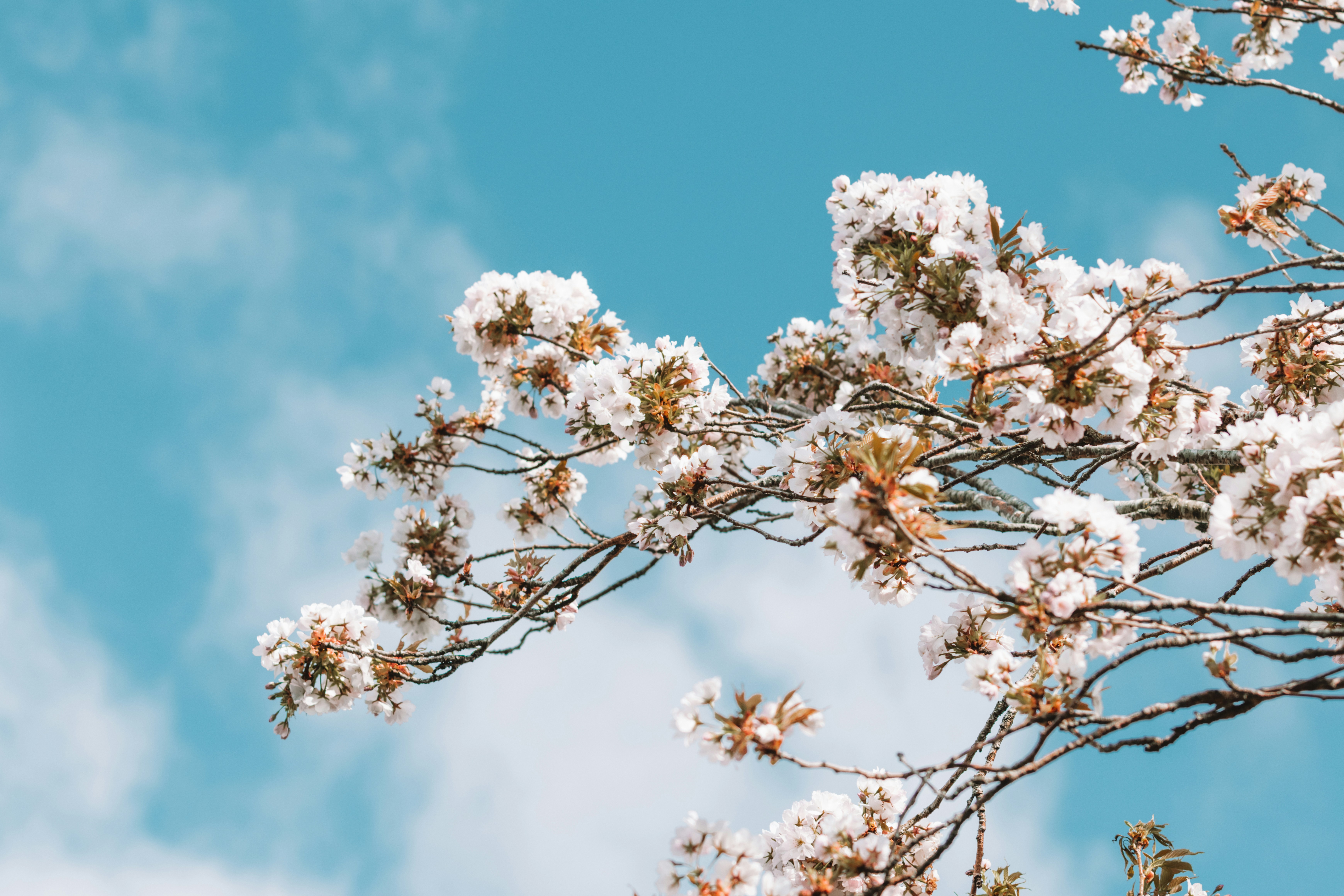 Photo by ingridmartinussen