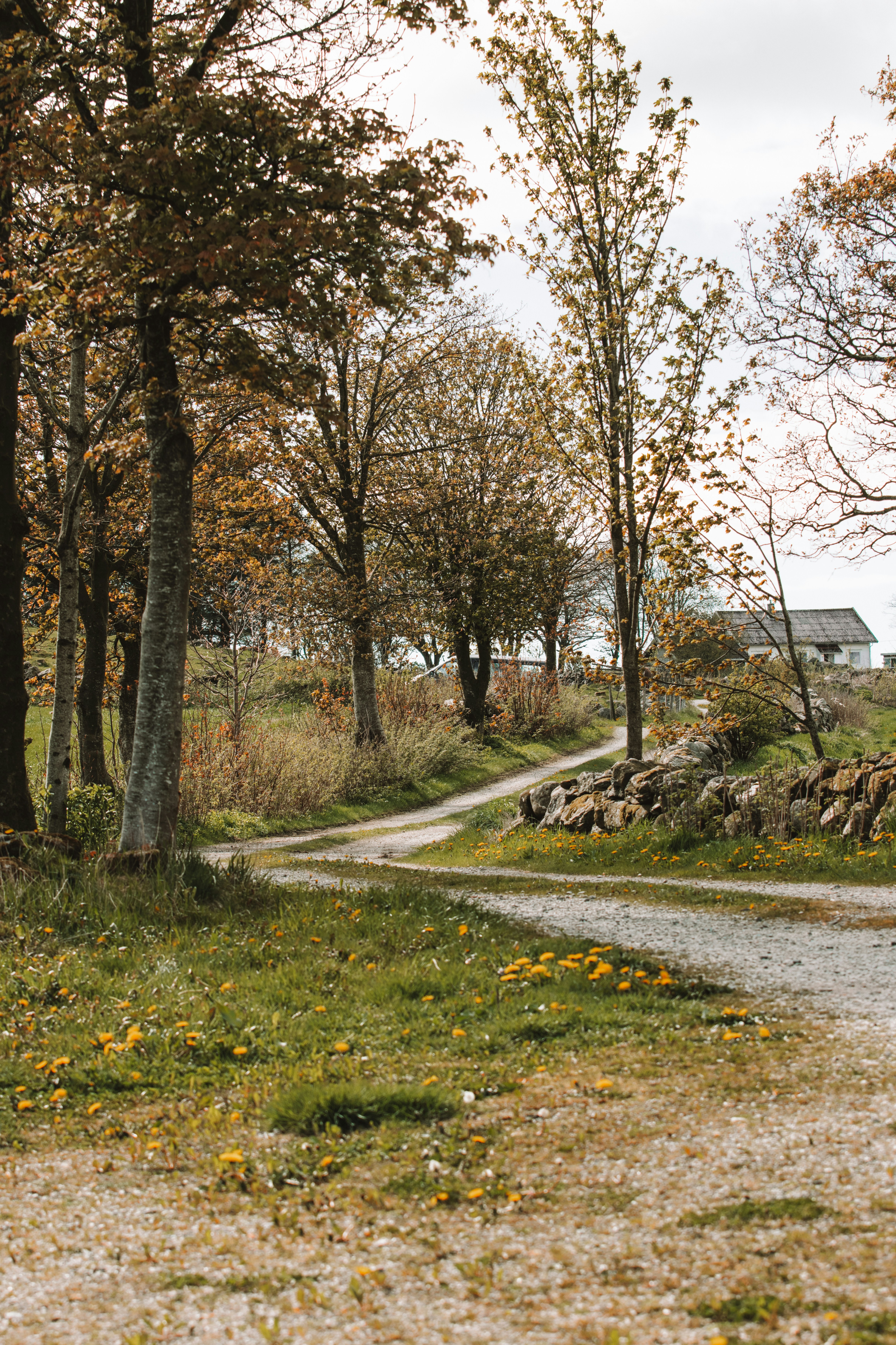 Photo by ingridmartinussen