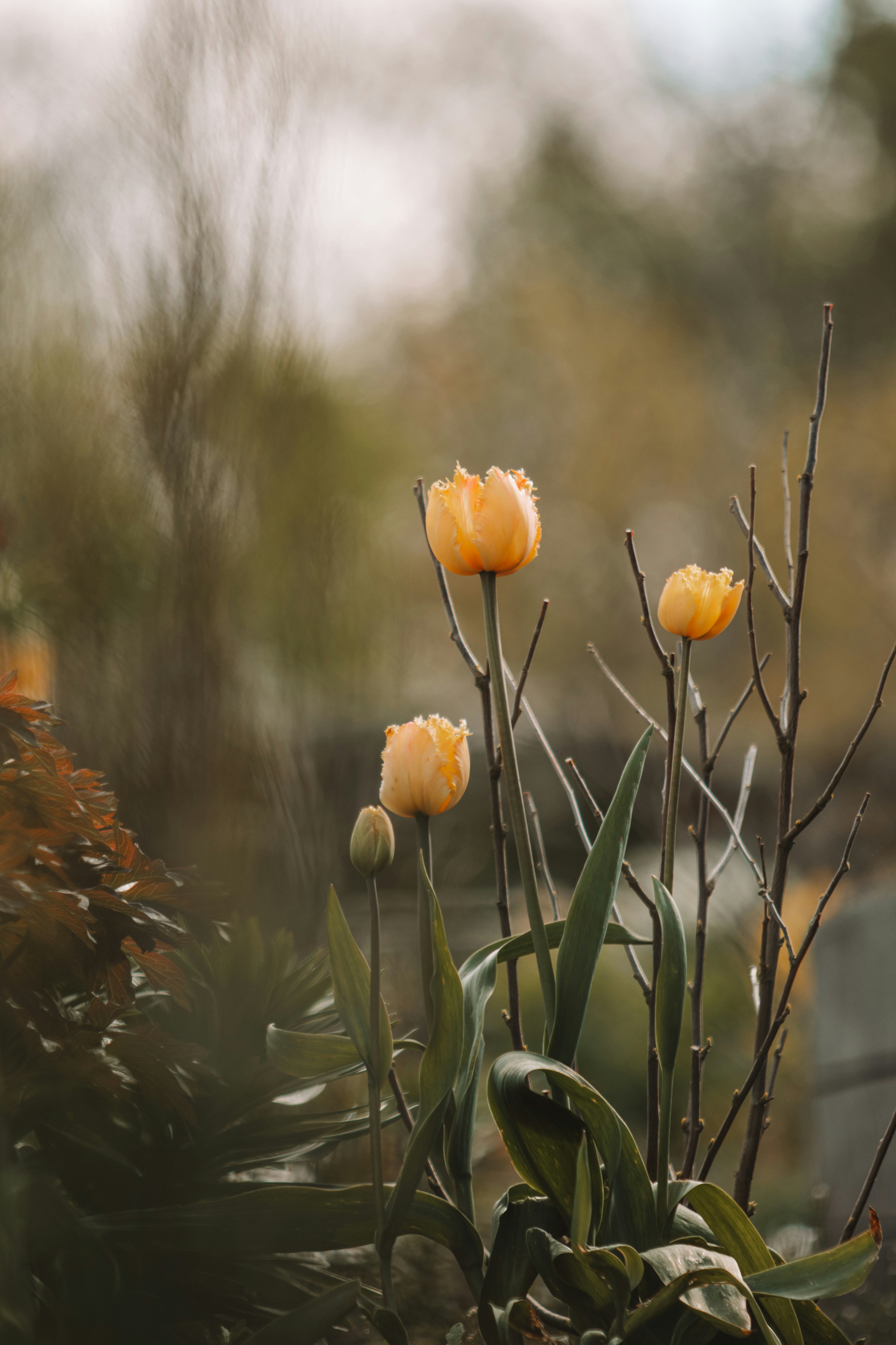Photo by ingridmartinussen