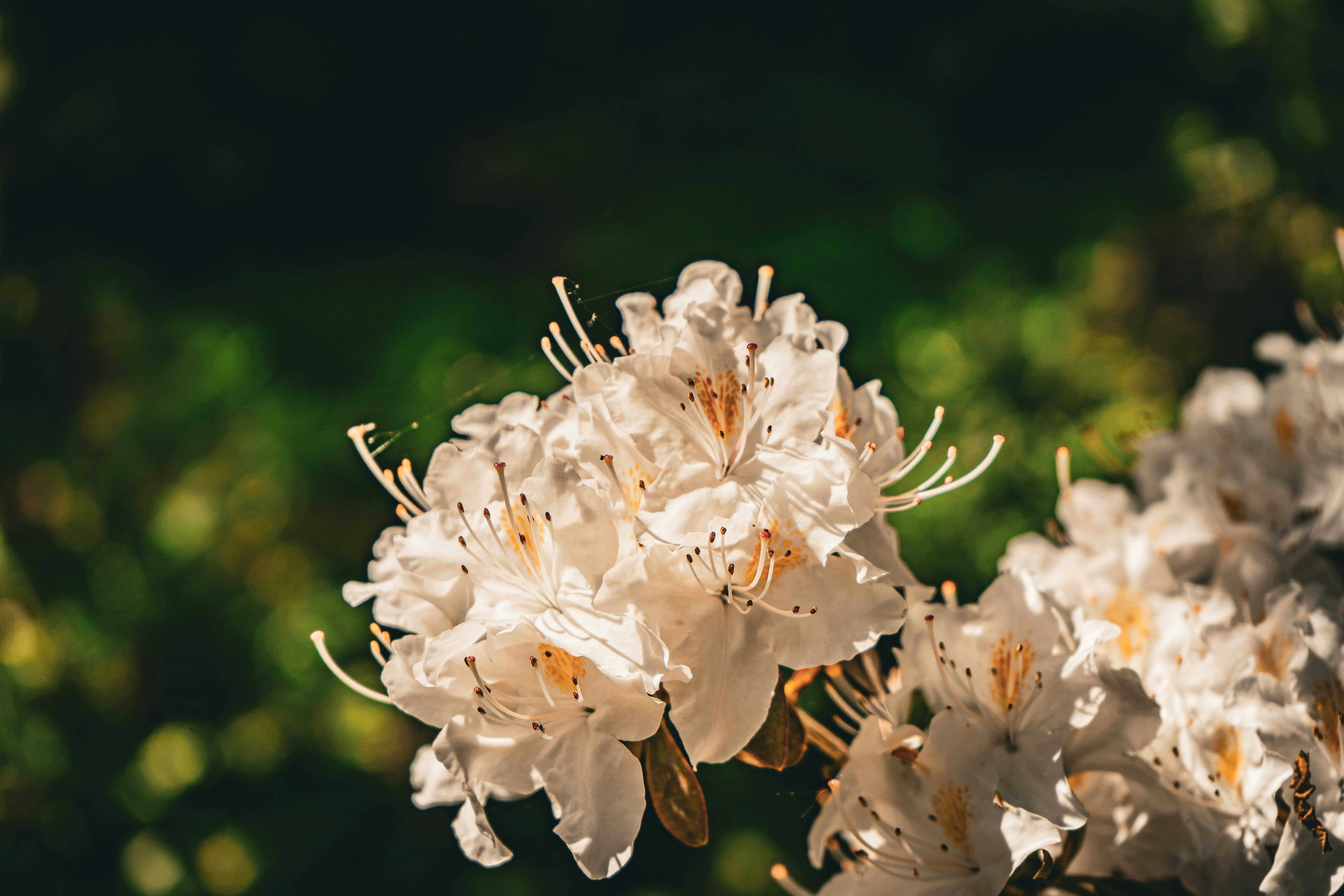 Photo by samuel_hagger