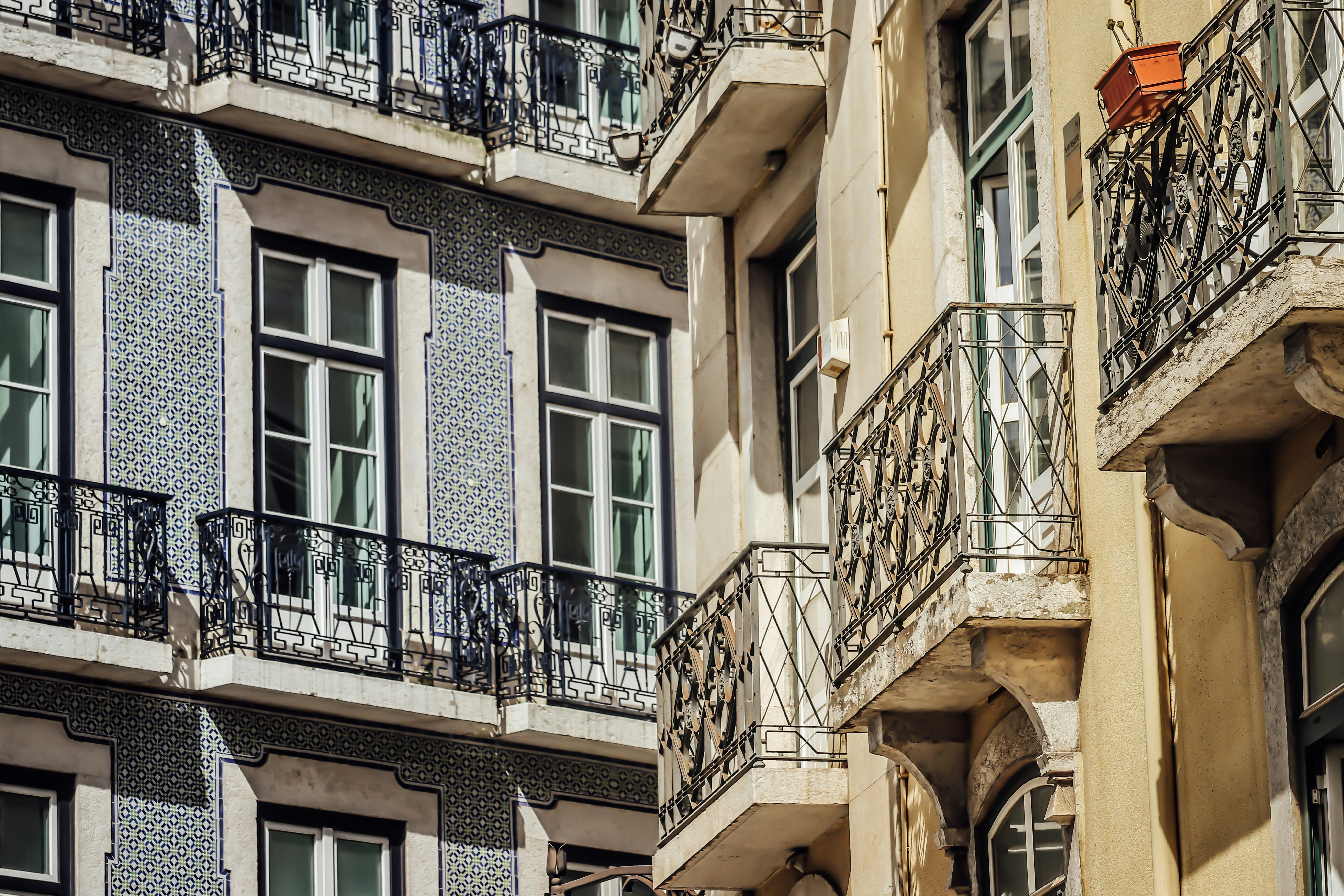 Photo by sonderbridgephotography