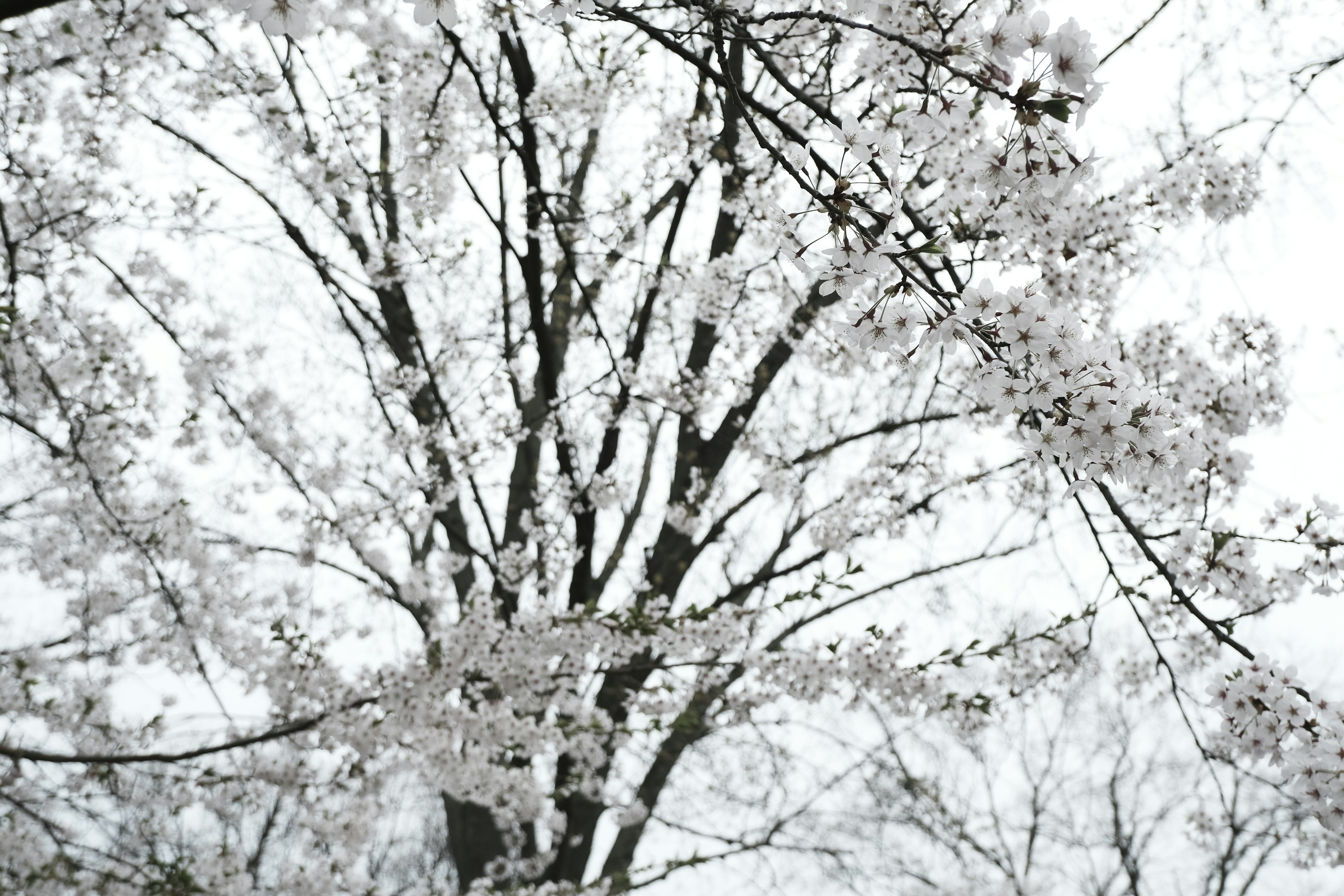 Photo by xuan043