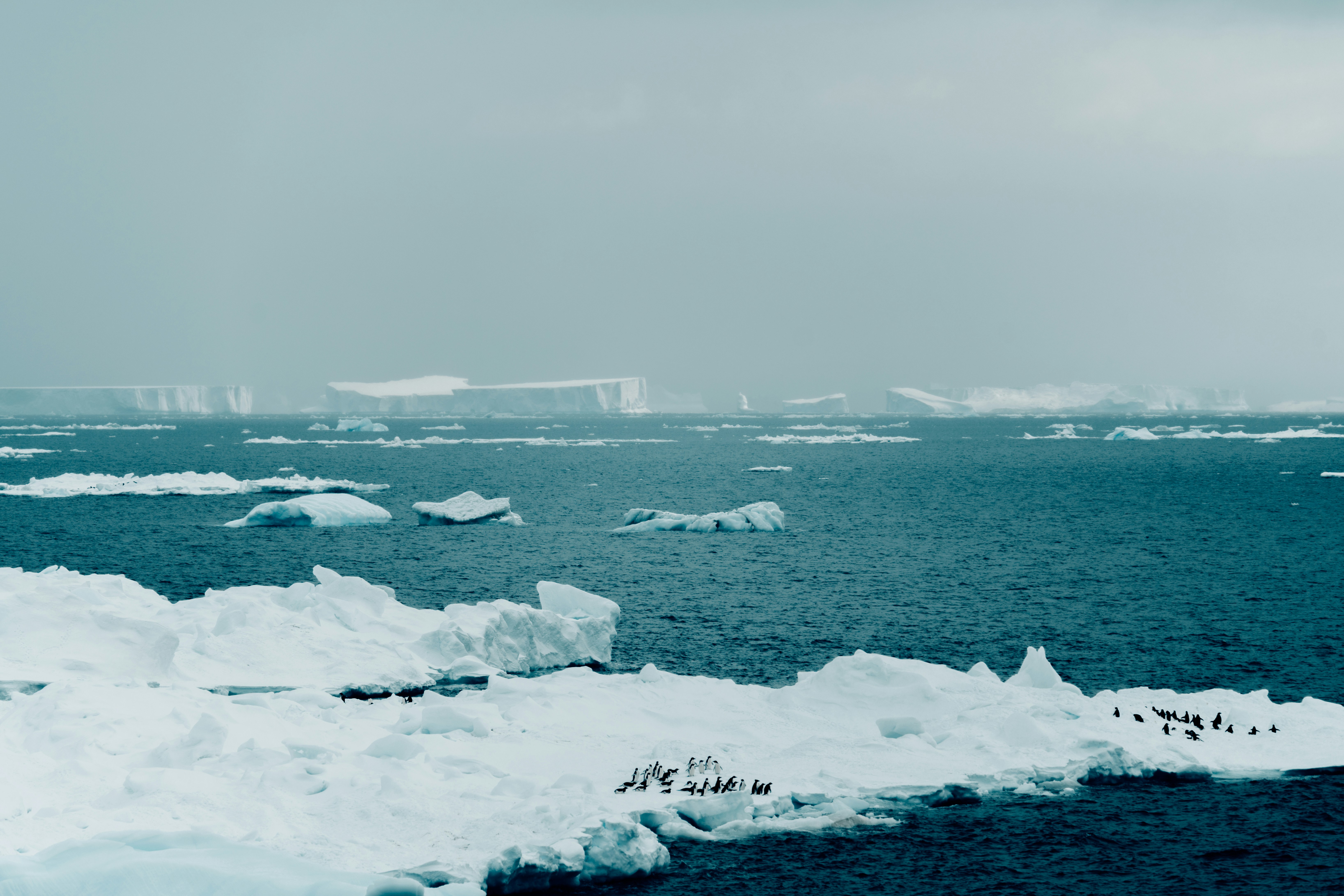 Photo by matthewryanstephenson